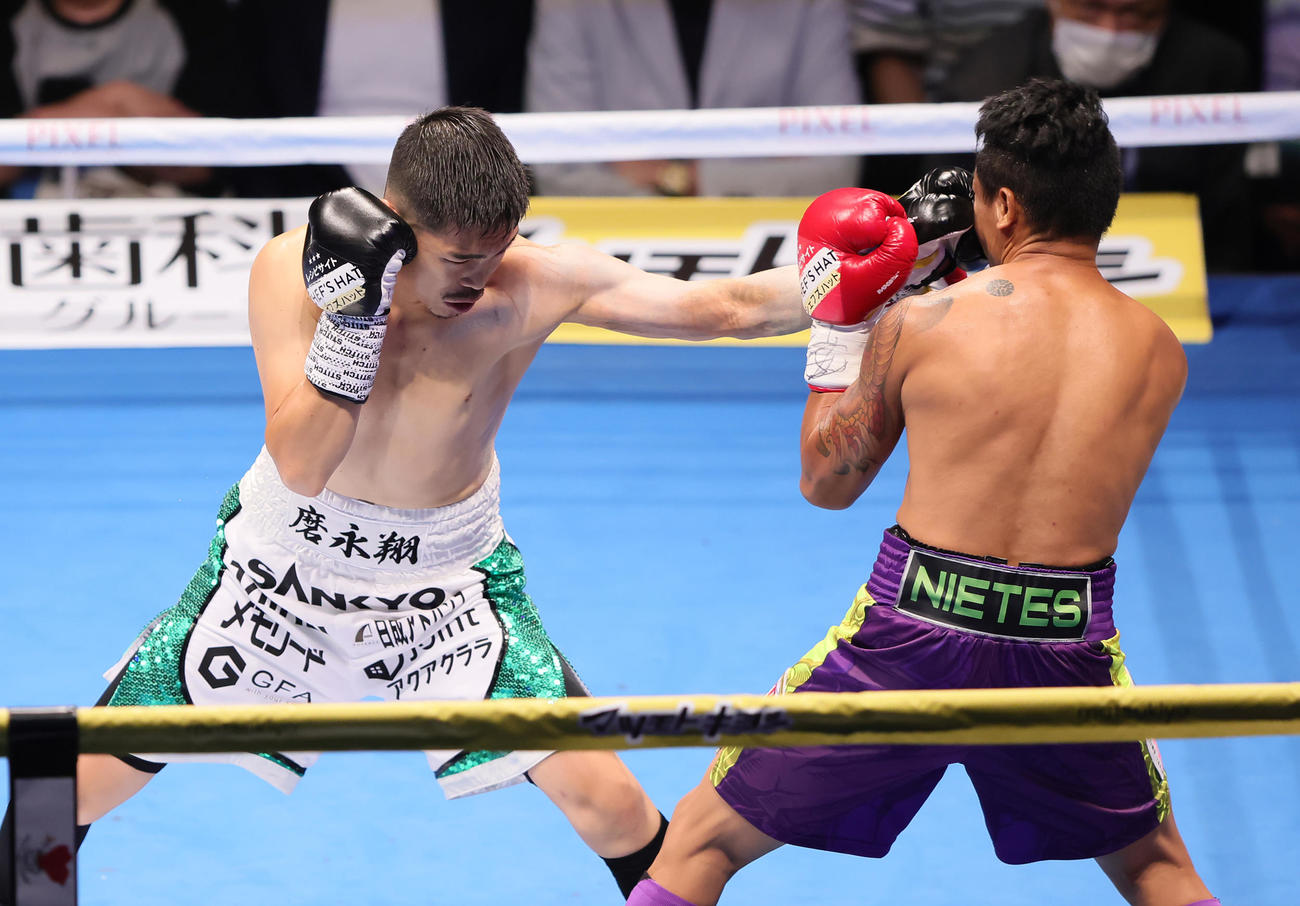 1回、井岡（左）はニエテスを攻める（撮影・足立雅史）