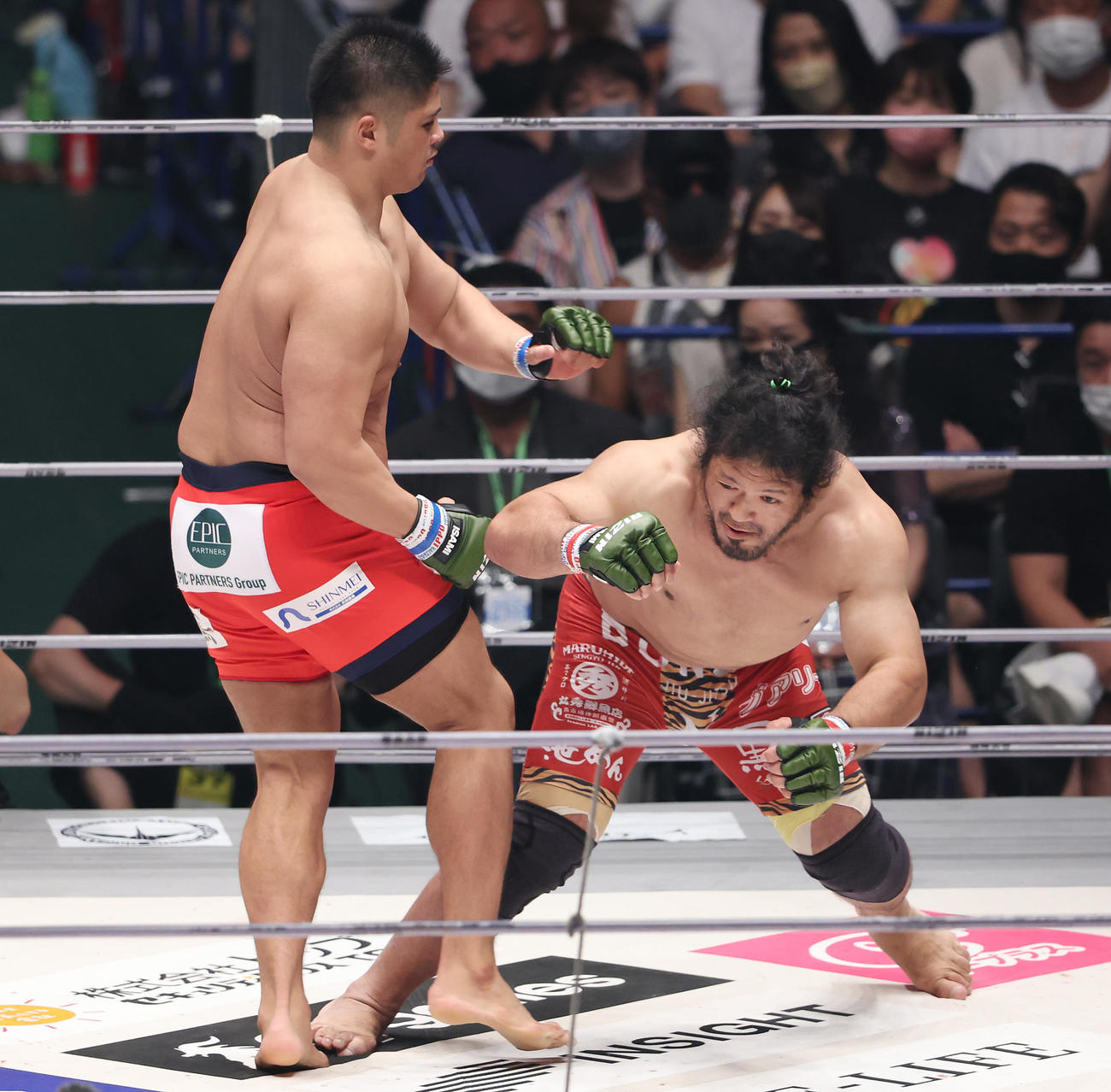 関根”シュレック”秀樹対スダリオ剛　関根（右）からダウンを奪うスダリオ（撮影・垰建太）