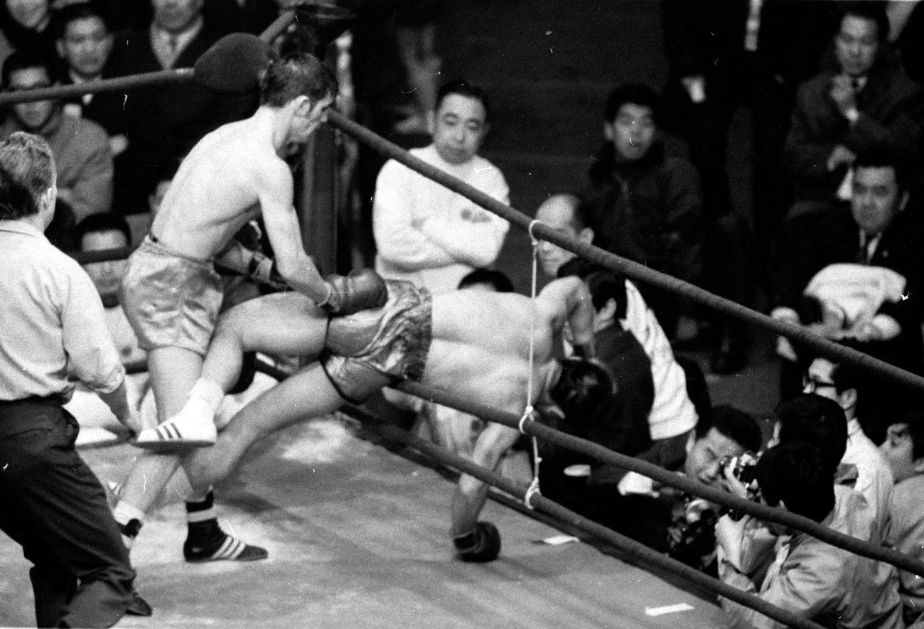 WBC世界フェザー級タイトルマッチ　ファイティング原田対ジョニー・ファメション　ジョニー・ファメション（左）の猛攻を受けリング下に落ちそうになるファイティング原田（1970年1月6日撮影）