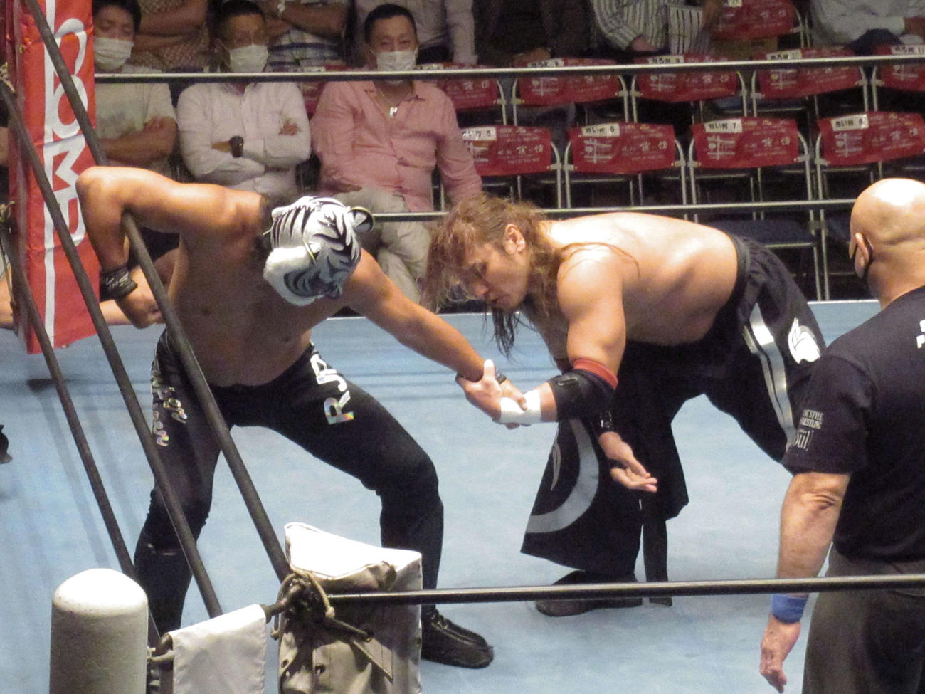 タイガーの左腕を引っ張る真霜（撮影・勝部晃多）