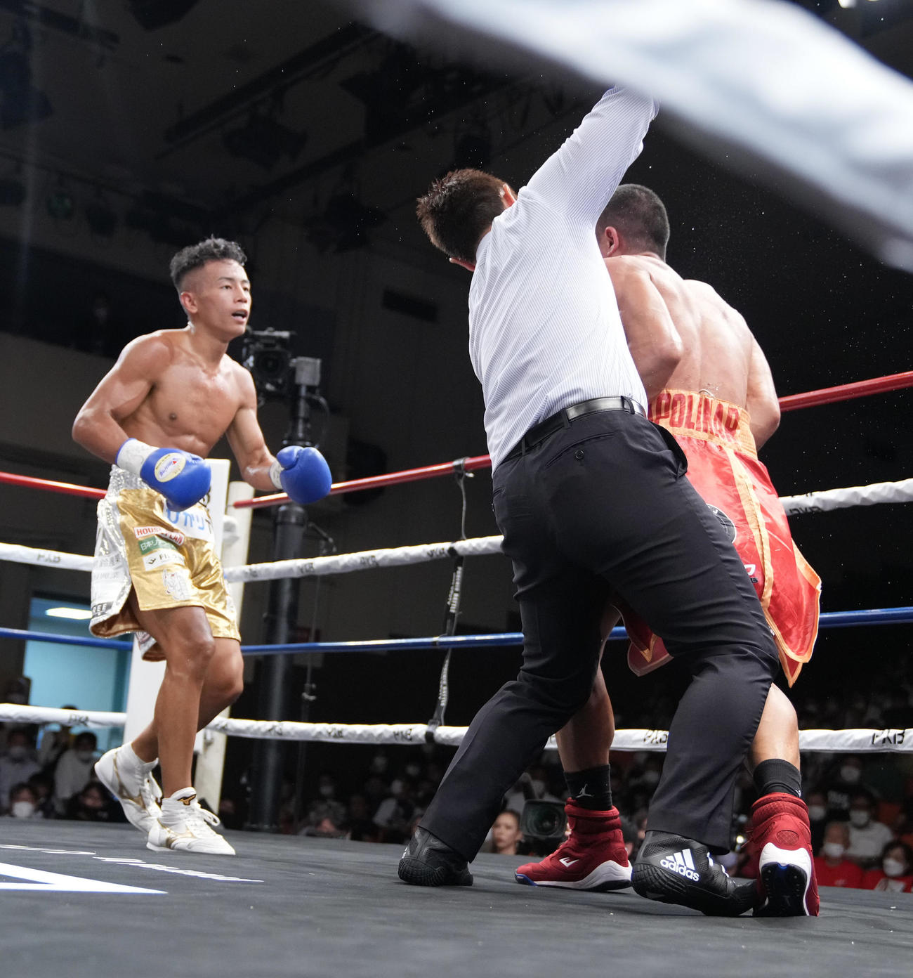 5回、武居（左）はレフェリーストップによるTKO勝ちを収めOPBF東洋太平洋スーパー・バンタム級の新王者となる（撮影・小沢裕）