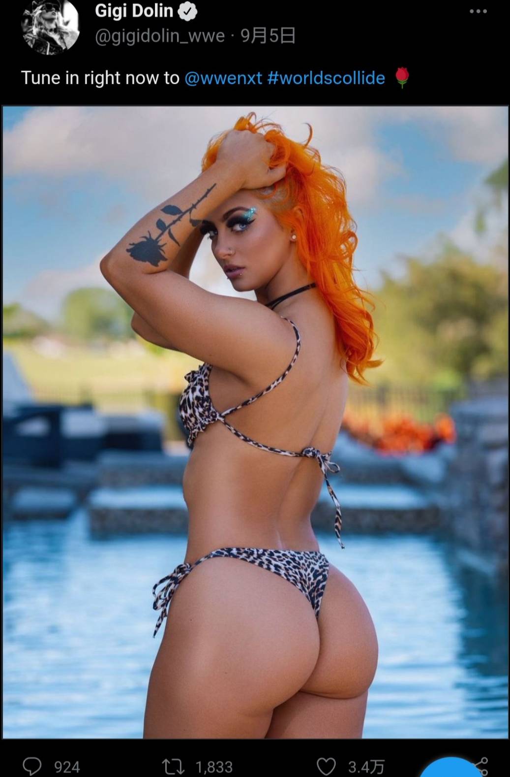 自らの公式SNSでヒョウ柄水着写真を公開し、ファンの注目を集めたWWEの前NXT女子タッグ王者ジジ・ドリン（ドリンの公式ツイッターより）