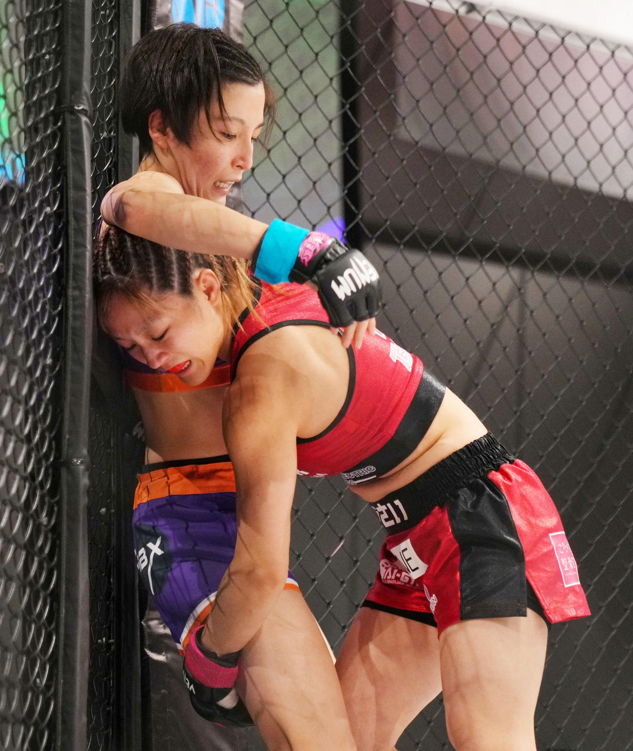 ちびさいKYOKA対ジャカ季美香　1回、競り合うちびさいKYOKA（右）とジャカ季美香（撮影・横山健太）