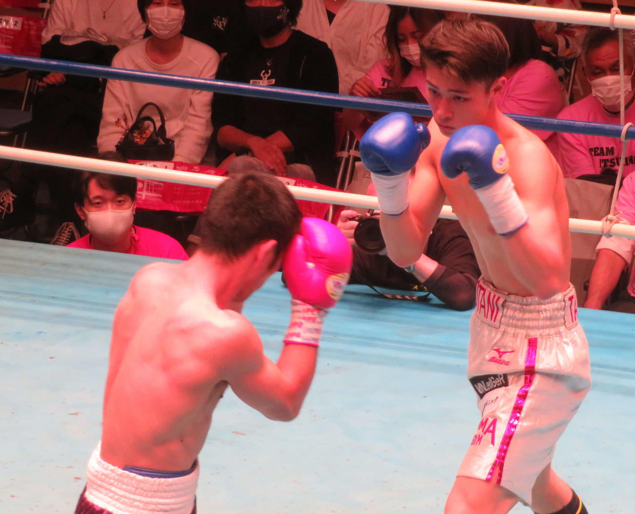 東日本新人王ウエルター級準決勝で、佐藤賢治（左）から2度のダウンを奪って1回TKO勝ちした磯谷大心