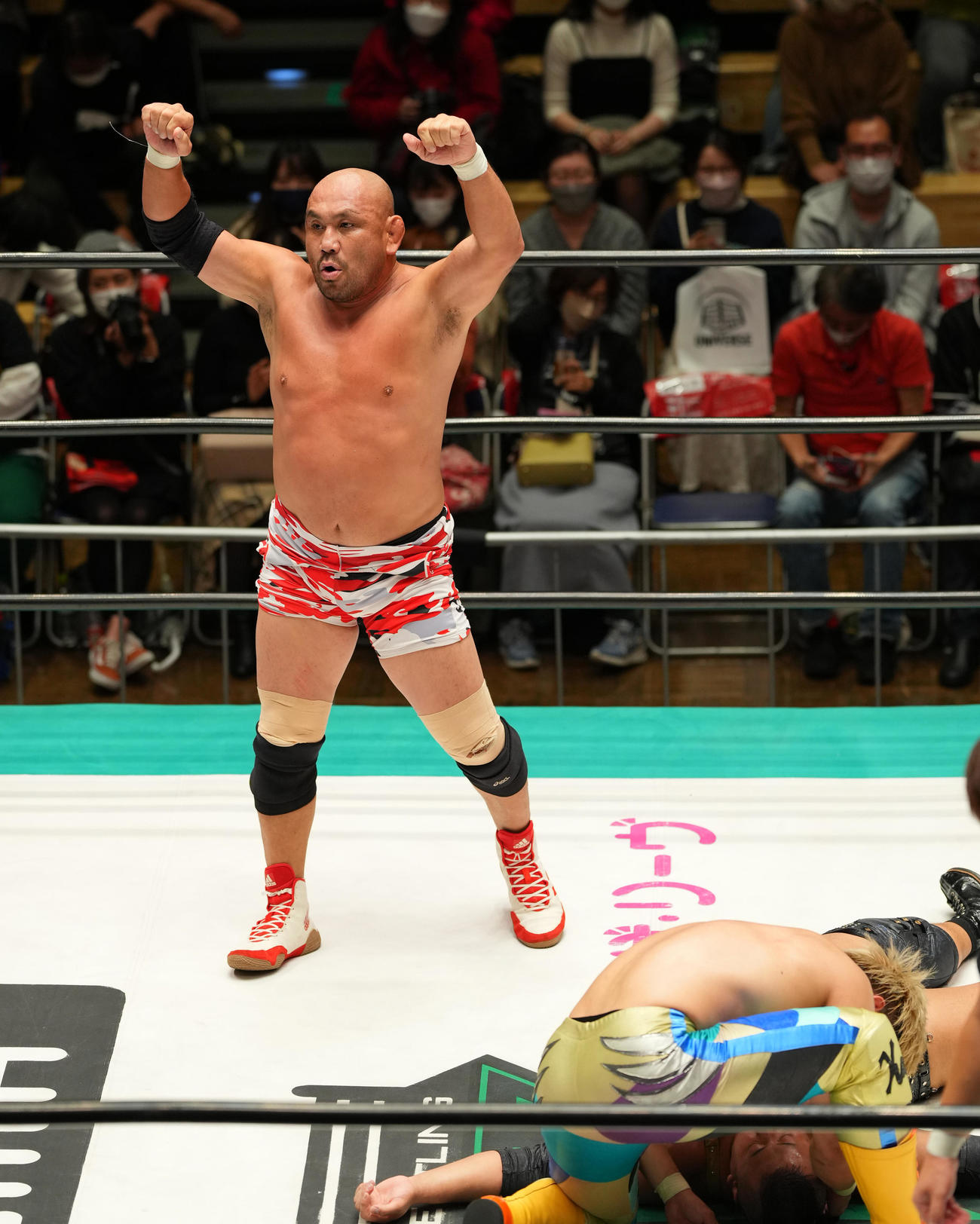 清宮海斗、稲村愛輝組対藤田和之、鈴木秀樹組　稲村（下）にビーストボムで勝利した藤田はガッツポーズする（撮影・垰建太）