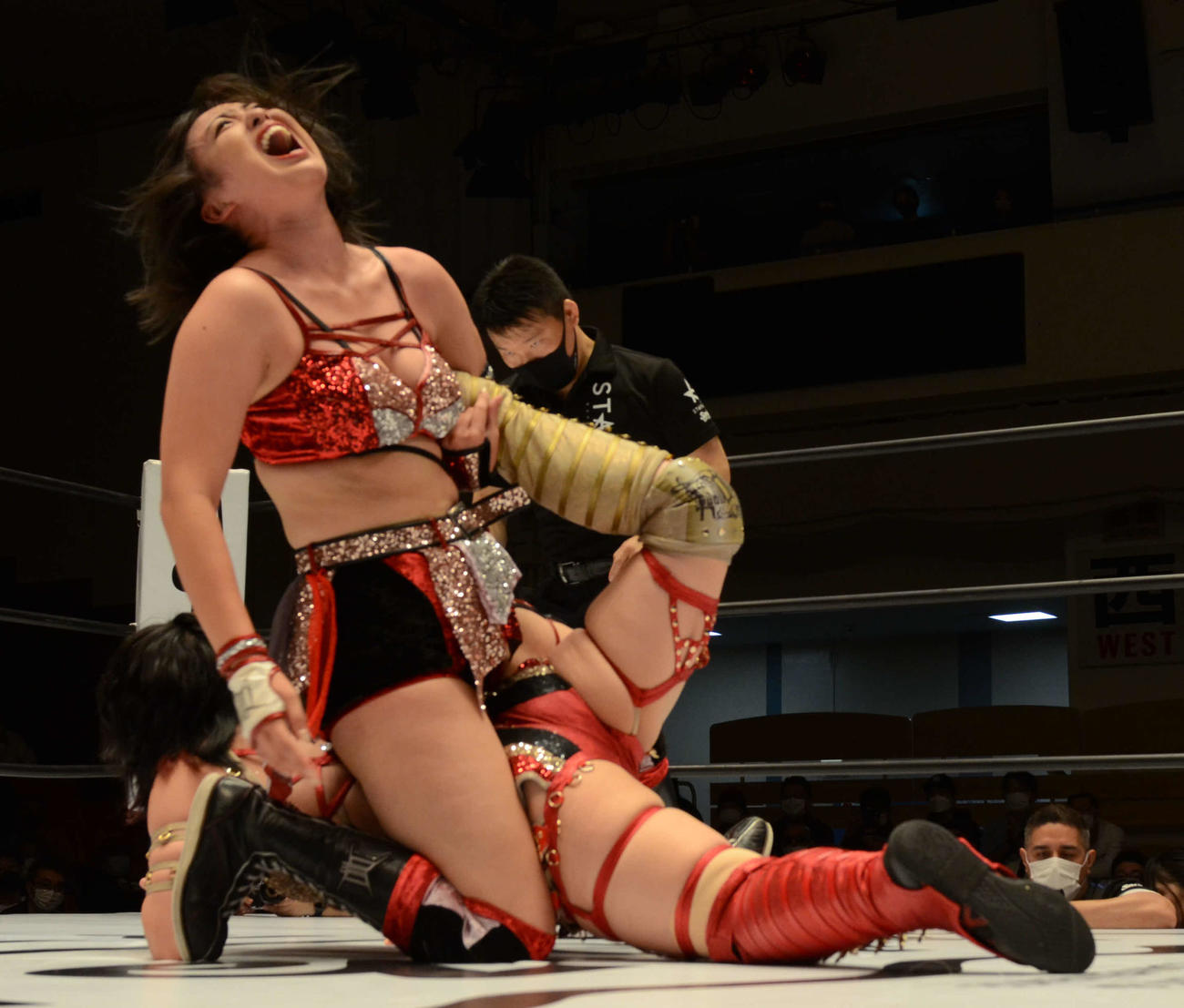 スターダム後楽園大会　林下詩美の足を持ち、雄たけびを上げるひめか（撮影・松熊洋介）