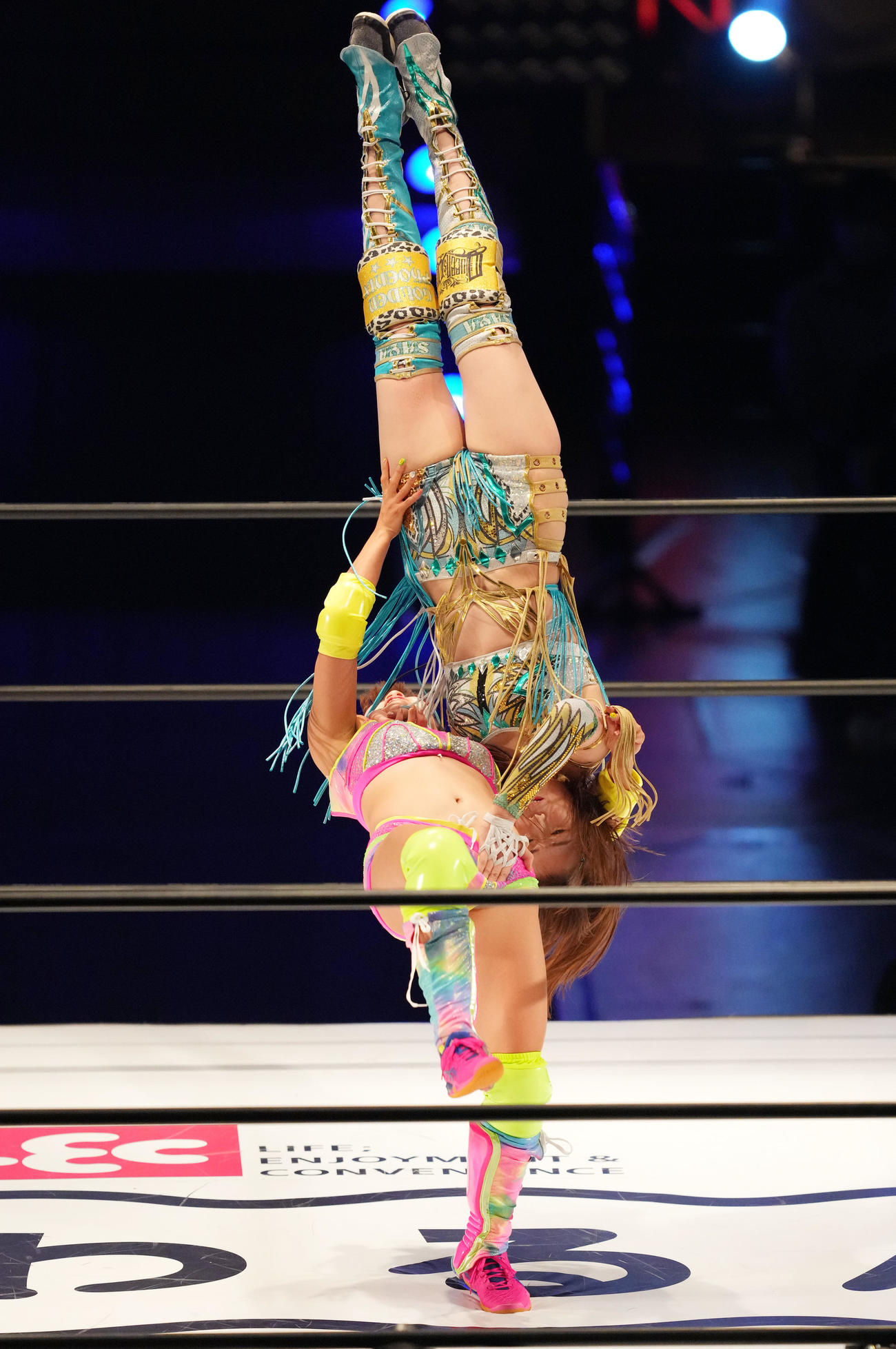 デビュー戦で上谷（右）にブレーンバスターを決めるフワちゃん（撮影・菅敏）