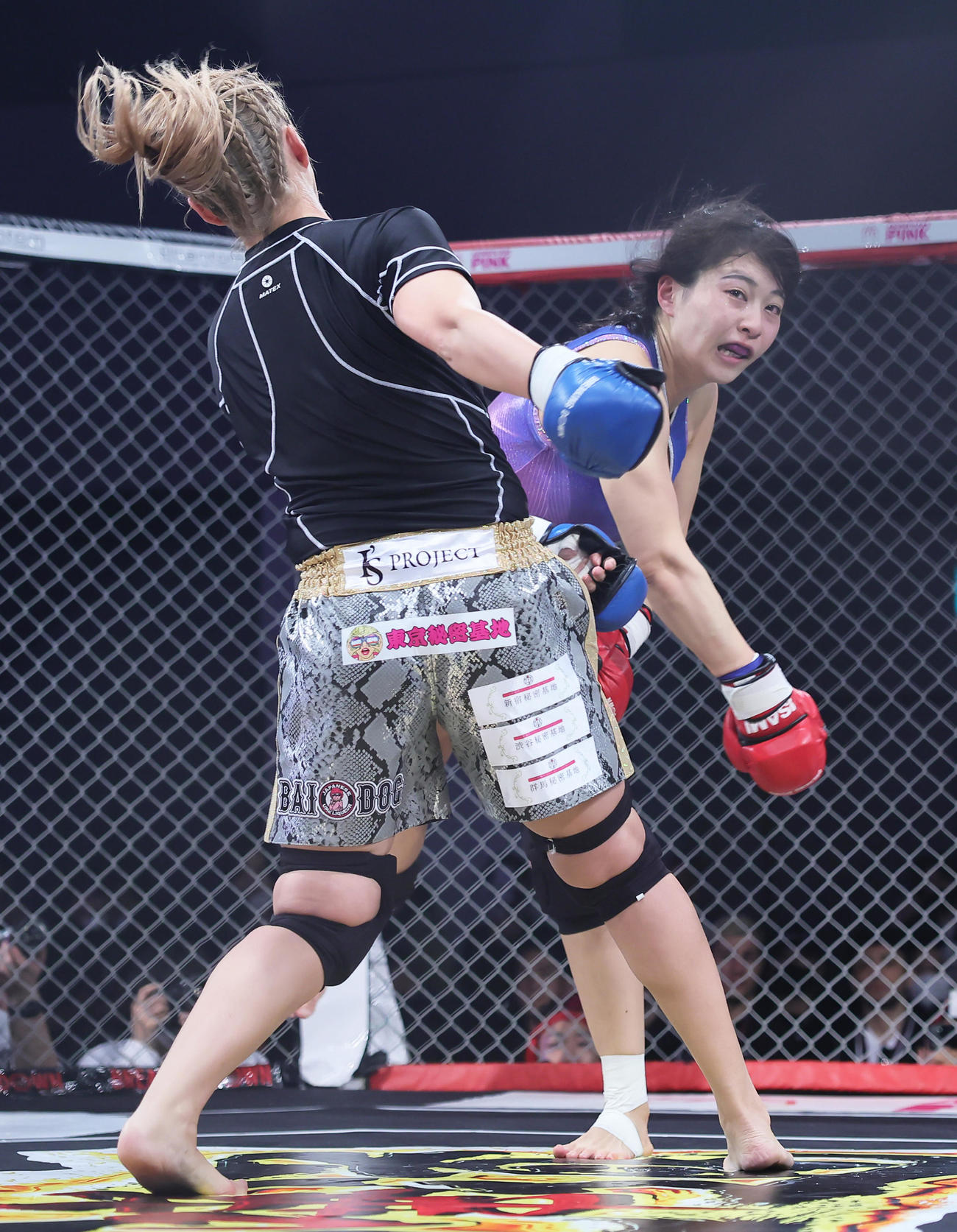 さぁちむ（左）を攻めるちゃんよた（撮影・足立雅史）