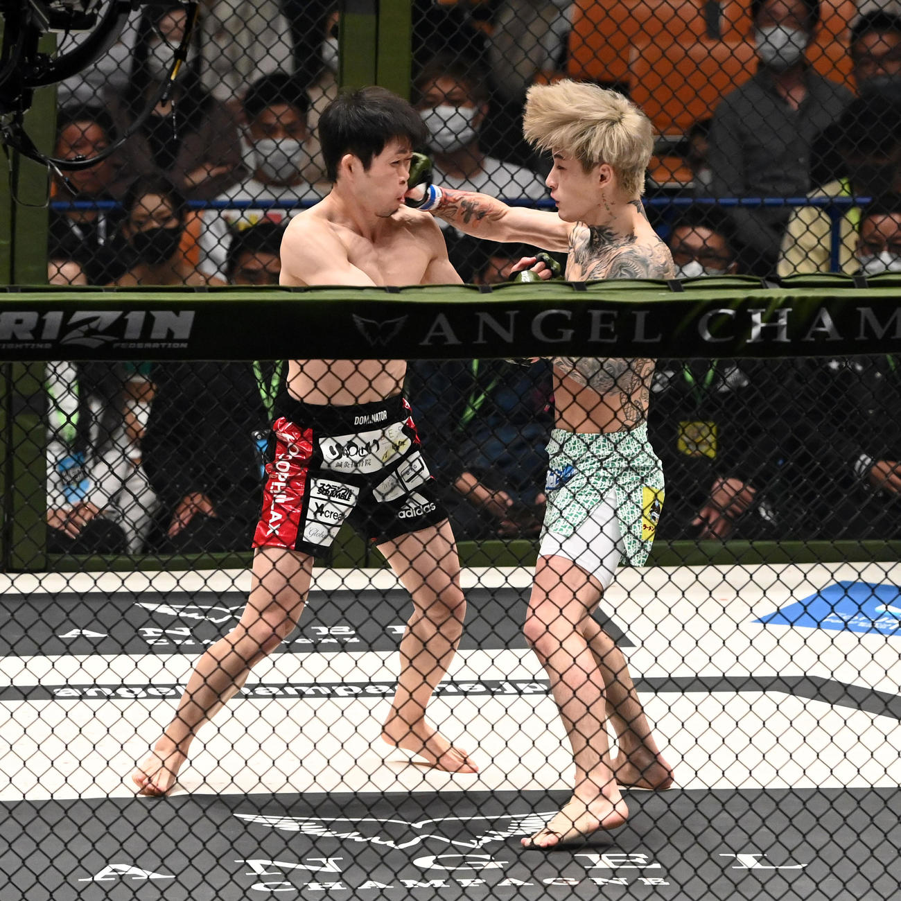 弥益ドミネーター聡志対平本蓮　1回、弥益ドミネーター聡志（左）に右をヒットさせる平本蓮（撮影・前岡正明）