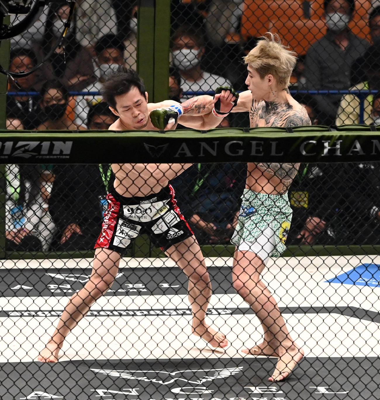 弥益ドミネーター聡志対平本蓮　1回、弥益ドミネーター聡志（左）に右をヒットさせる平本蓮（撮影・前岡正明）