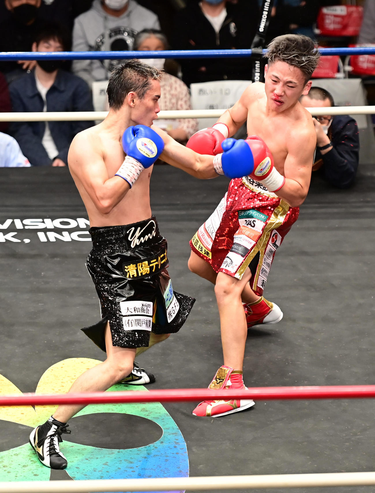 5回、高田（左）は森に左パンチでダウンを奪いTKO勝ちを収める（撮影・小沢裕）