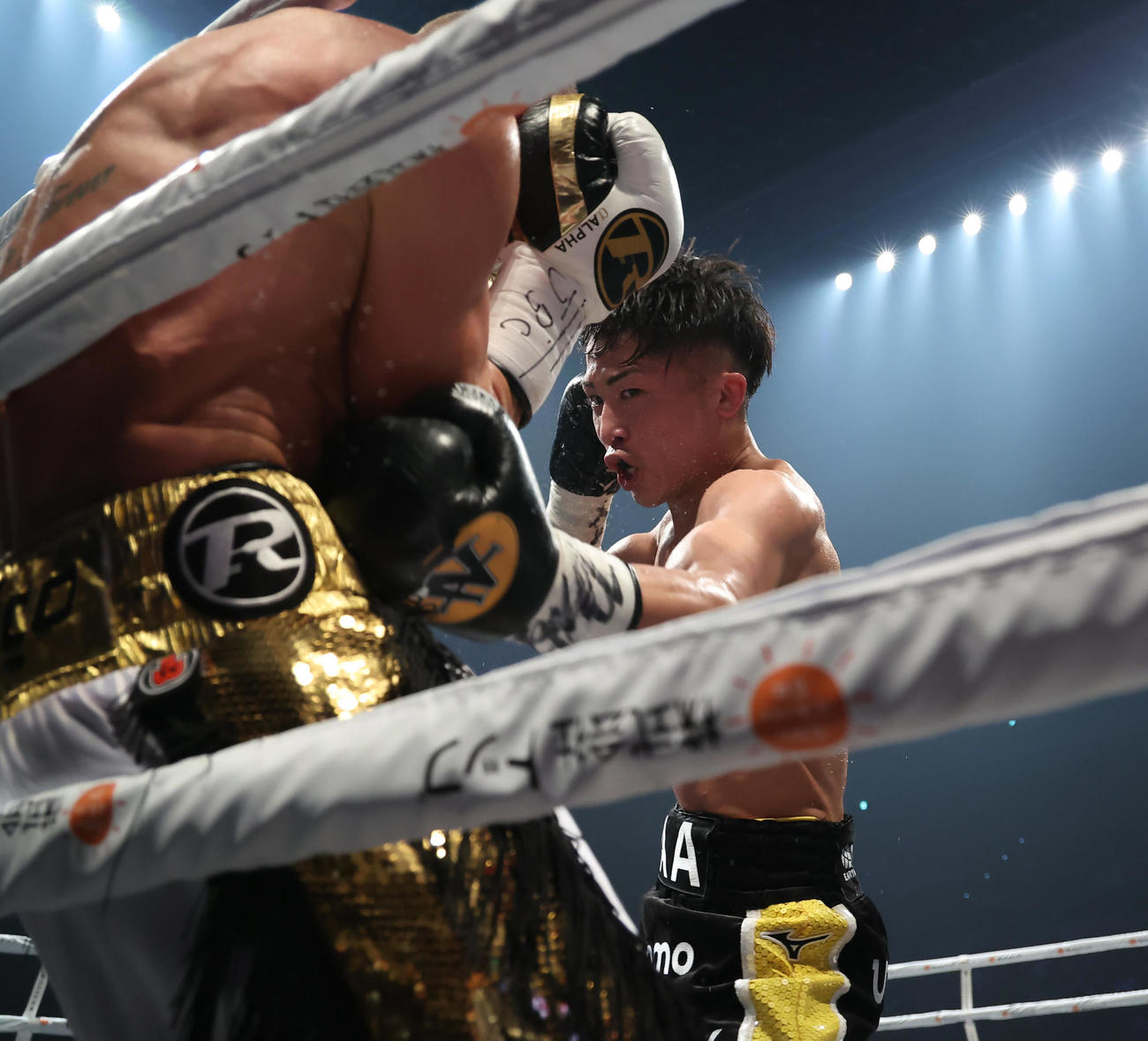 5回、バトラー（手前）に右ボディーを浴びせる井上尚（代表撮影）