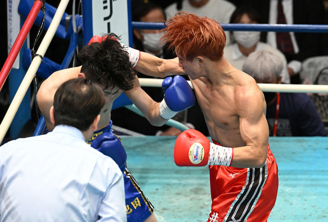 1回、石井（右）は池田にTKO勝ちする（撮影・滝沢徹郎）