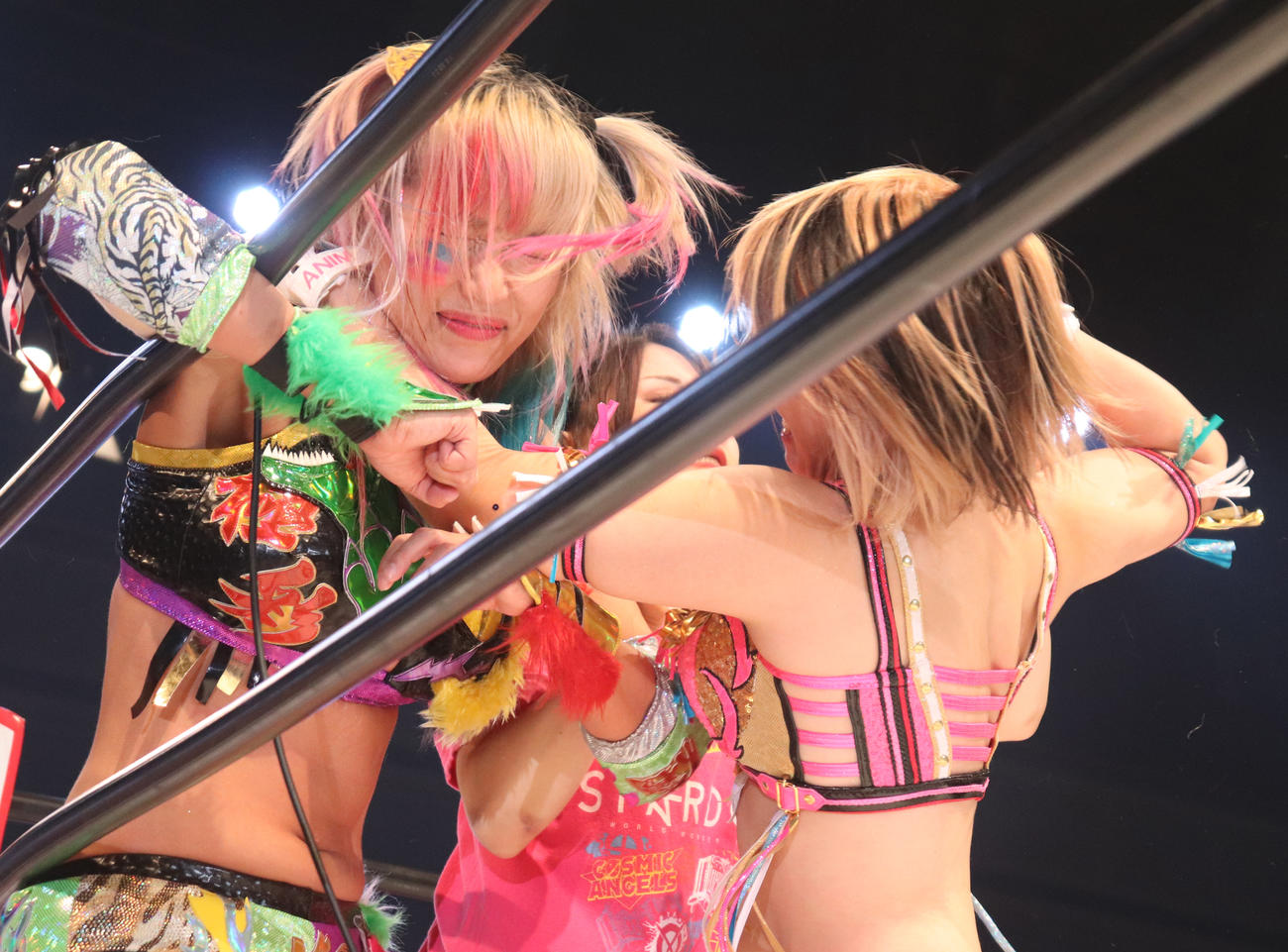 スターダム両国大会　ウナギ・サヤカにエルボーをたたき込む白川未奈（右）（撮影・渋谷征平）