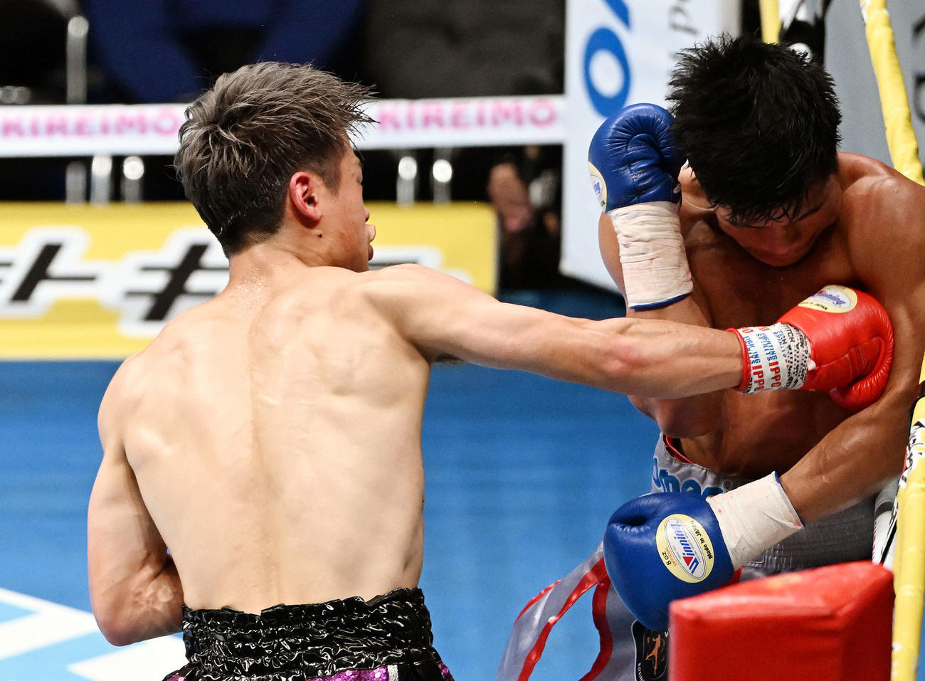 6回、堤（左）はロープ際にペテ・アポリナルを追い込む（撮影・滝沢徹郎）