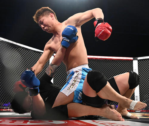 樋口武大（上）は近藤優太にパンチを打ち込む（撮影・滝沢徹郎）