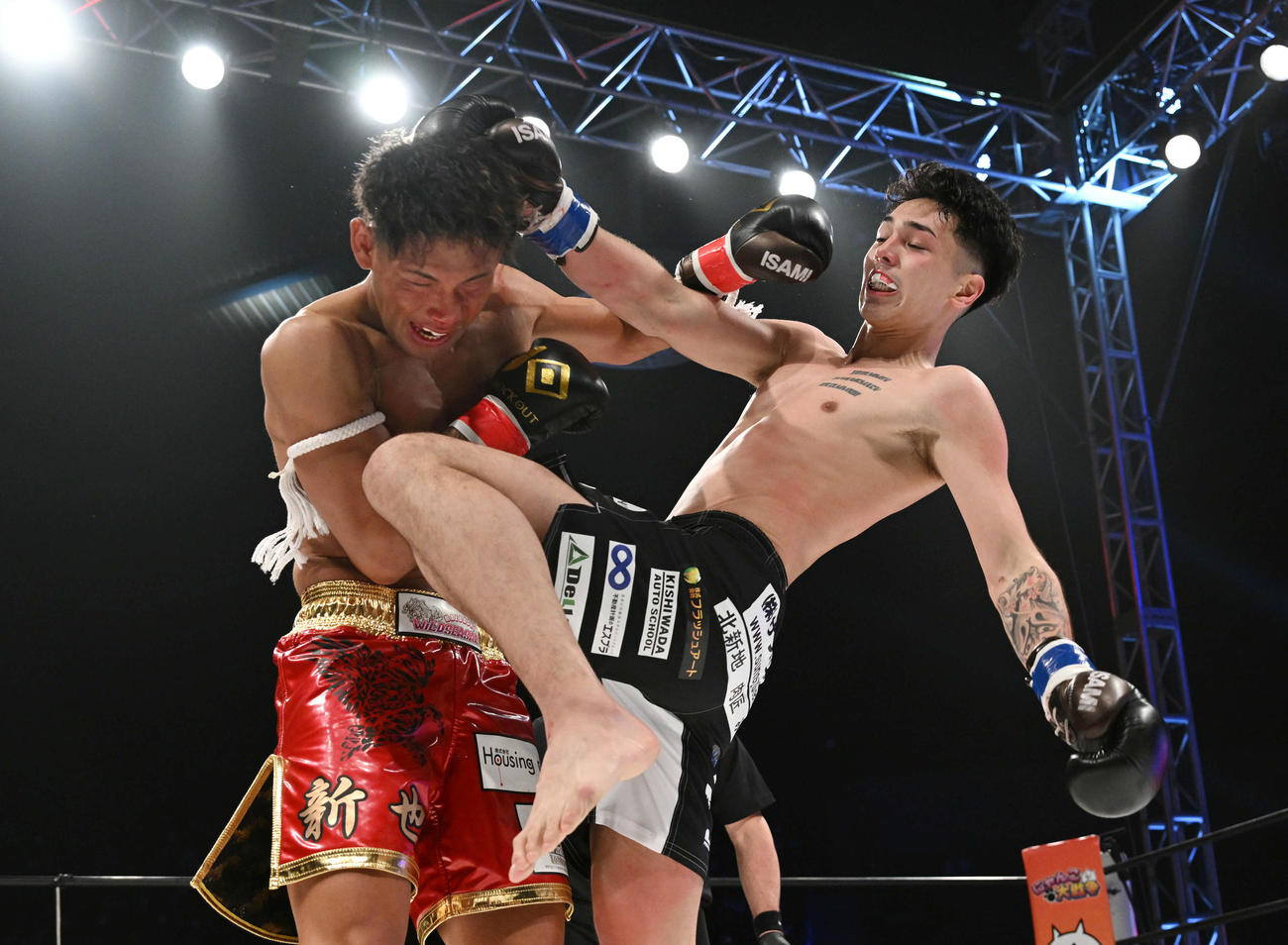 宇佐美（右）は杉原に膝蹴りを見舞う（撮影・滝沢徹郎）