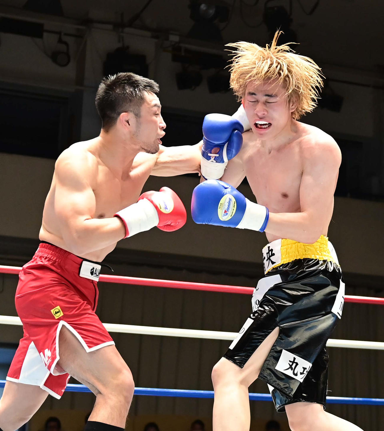 1回、新村（左）のパンチを食らう菊池（撮影・小沢裕）