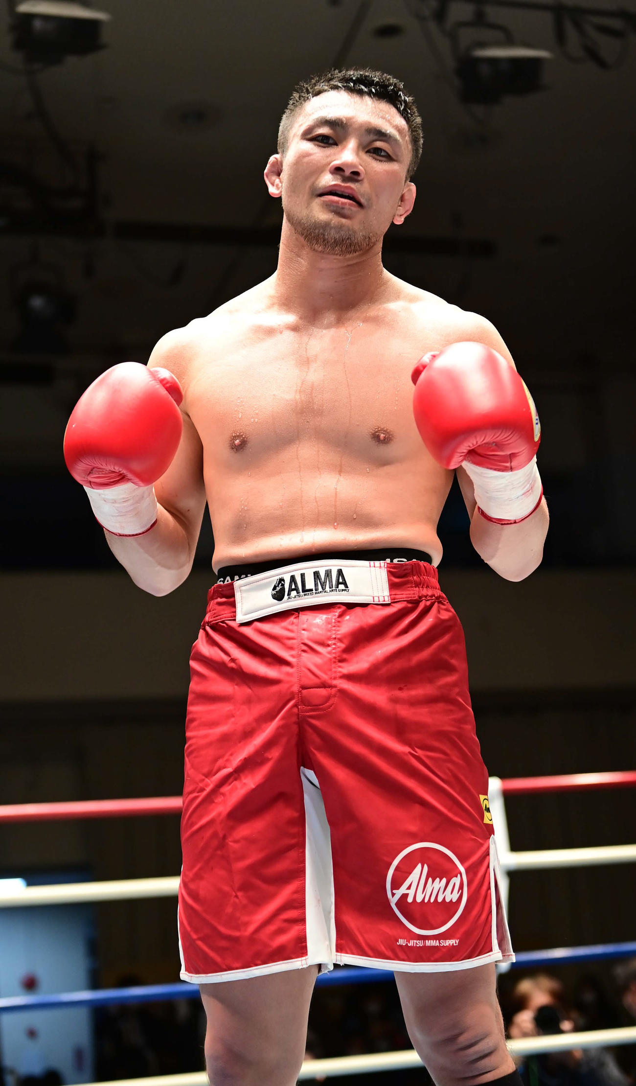 菊池に判定勝ちを収めた新村（撮影・小沢裕）