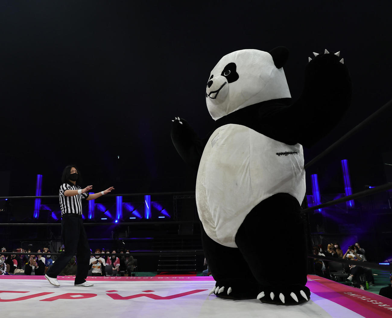 リングに上がったアンドレザ・ジャイアントパンダ（撮影・足立雅史）