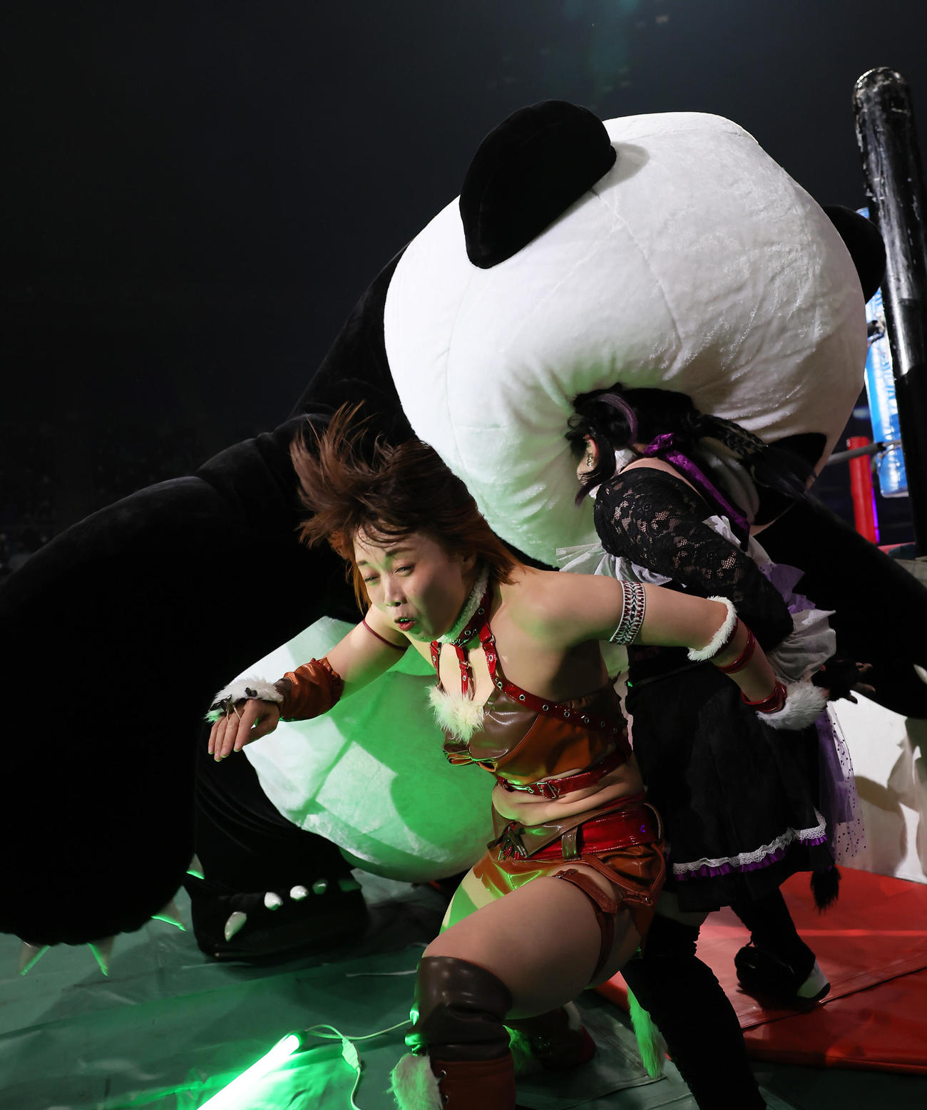 顔面攻撃するアンドレザ・ジャイアントパンダ（撮影・足立雅史）