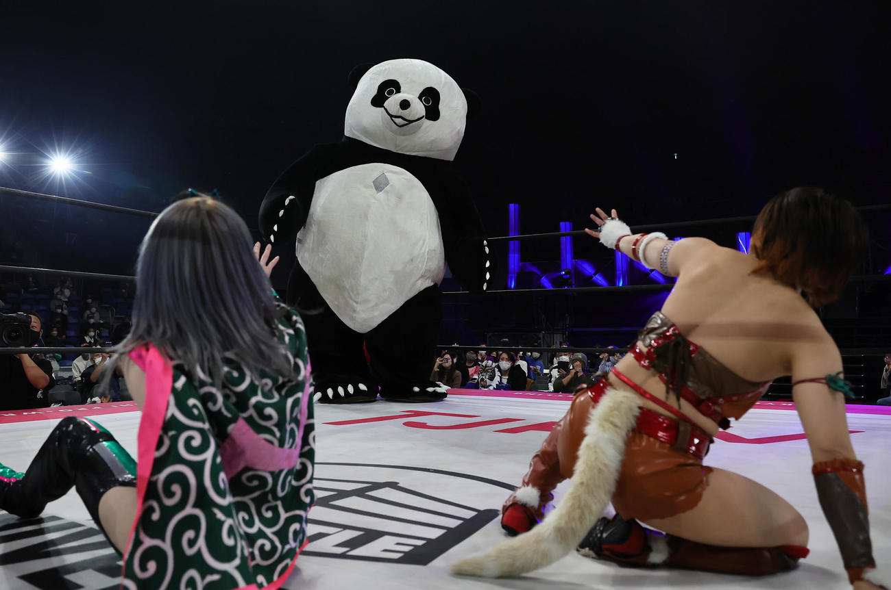 リングに上がったアンドレザ・ジャイアントパンダと、驚く中島翔子、ハイパーミサヲ（撮影・足立雅史）