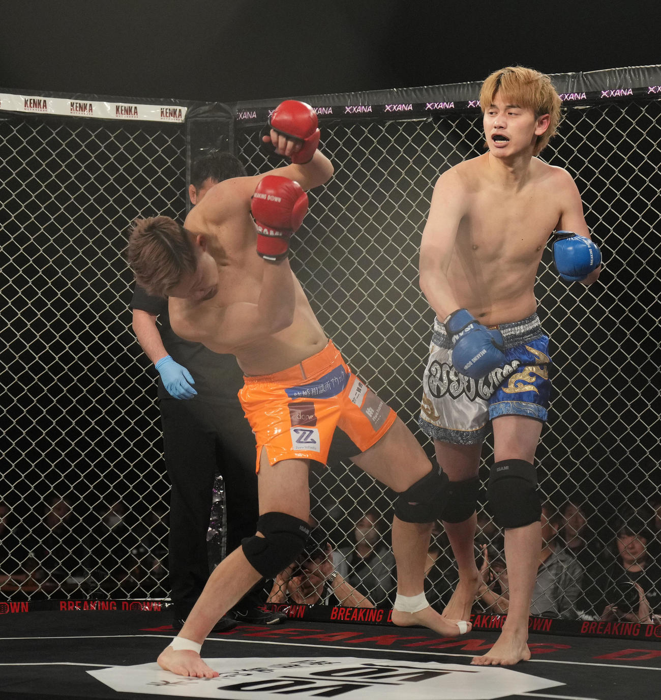 松葉大輝対ぬりぼう　ダウンを奪う松葉大輝（右）（撮影・横山健太）