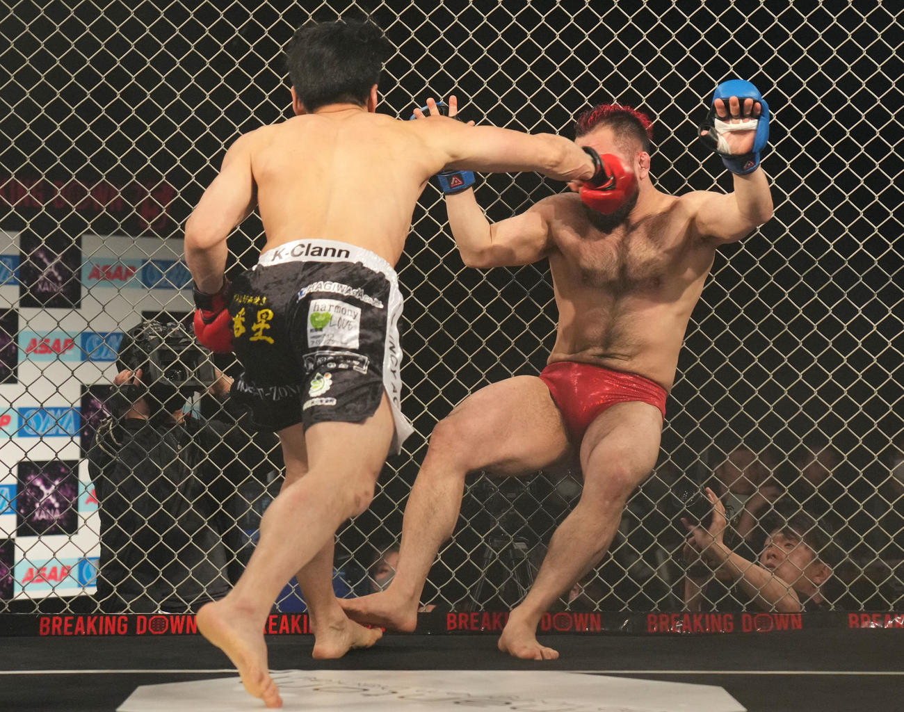 八須拳太郎対秀虎　八須拳太郎（右）に勝利する秀虎（撮影・横山健太）