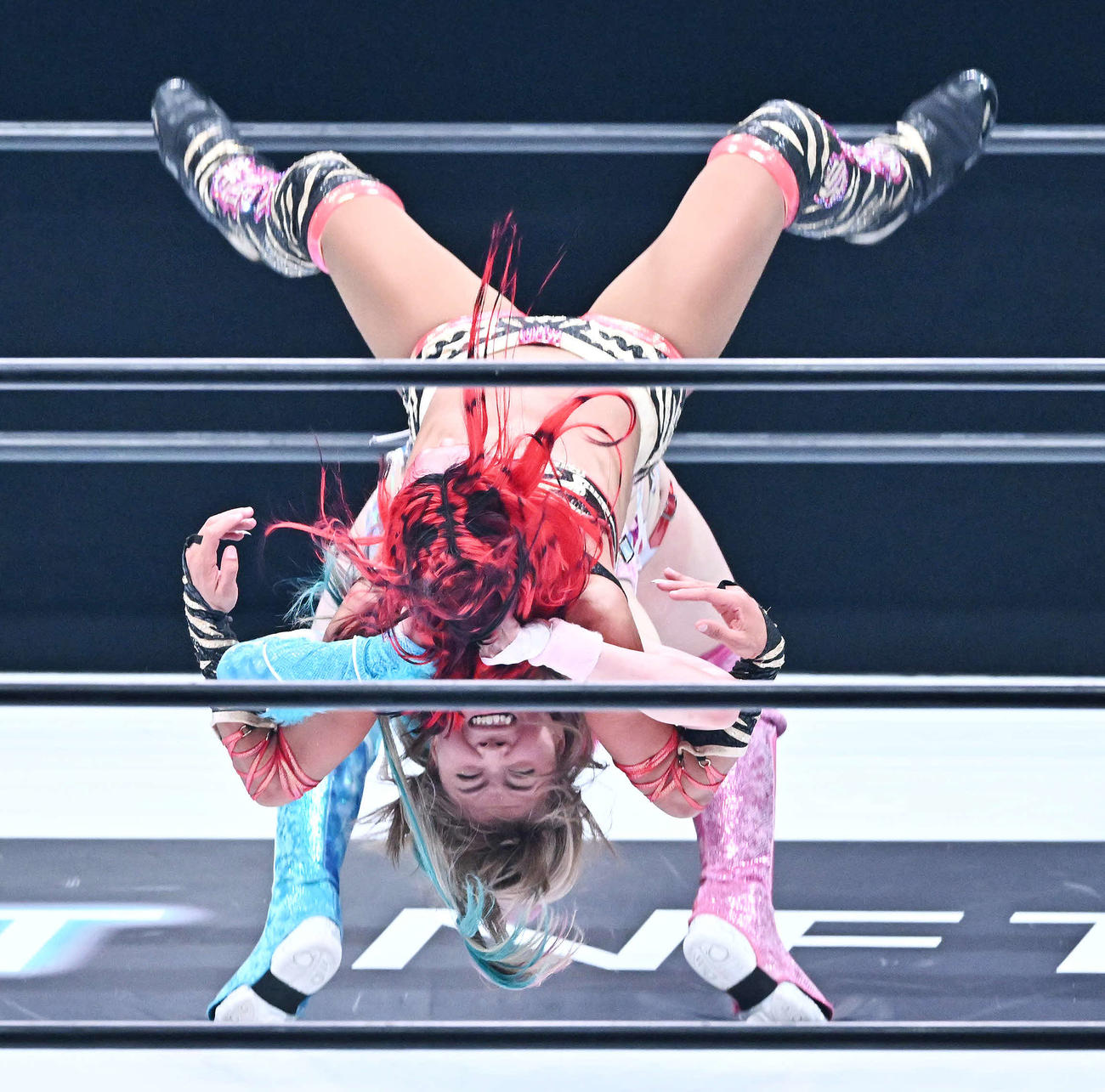 岩谷麻優（下）はメルセデス・モネにスープレックスを決める（撮影・滝沢徹郎）