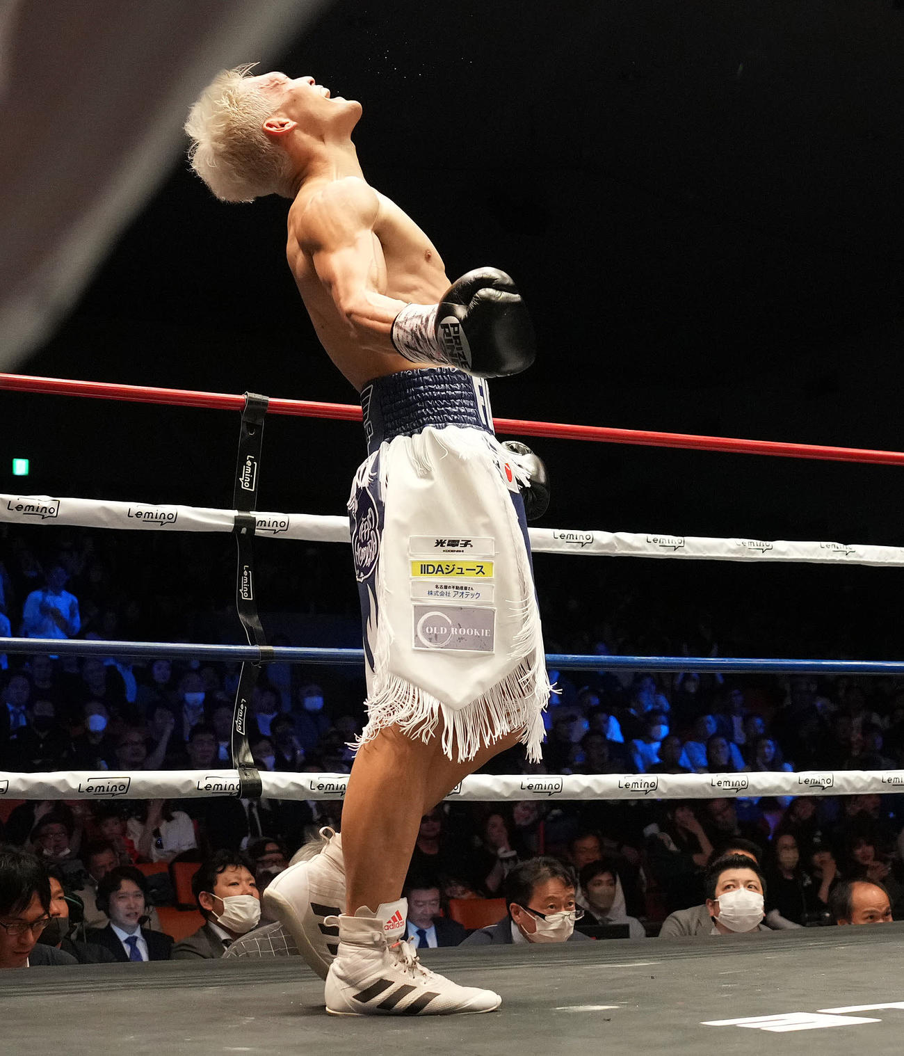 アオキ対藤田　アオキに2回TKO勝ちし、雄たけびを上げる藤田（撮影・鈴木みどり）