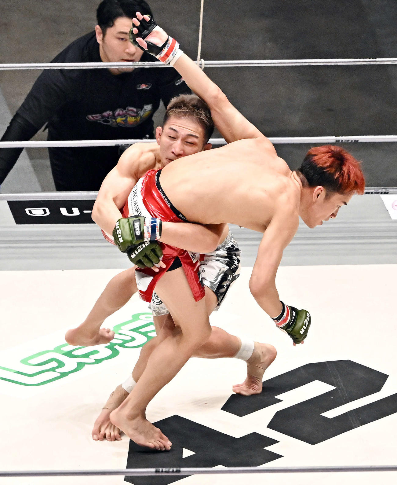 2回、元谷（後方）は朝倉海にタックルする（撮影・滝沢徹郎）
