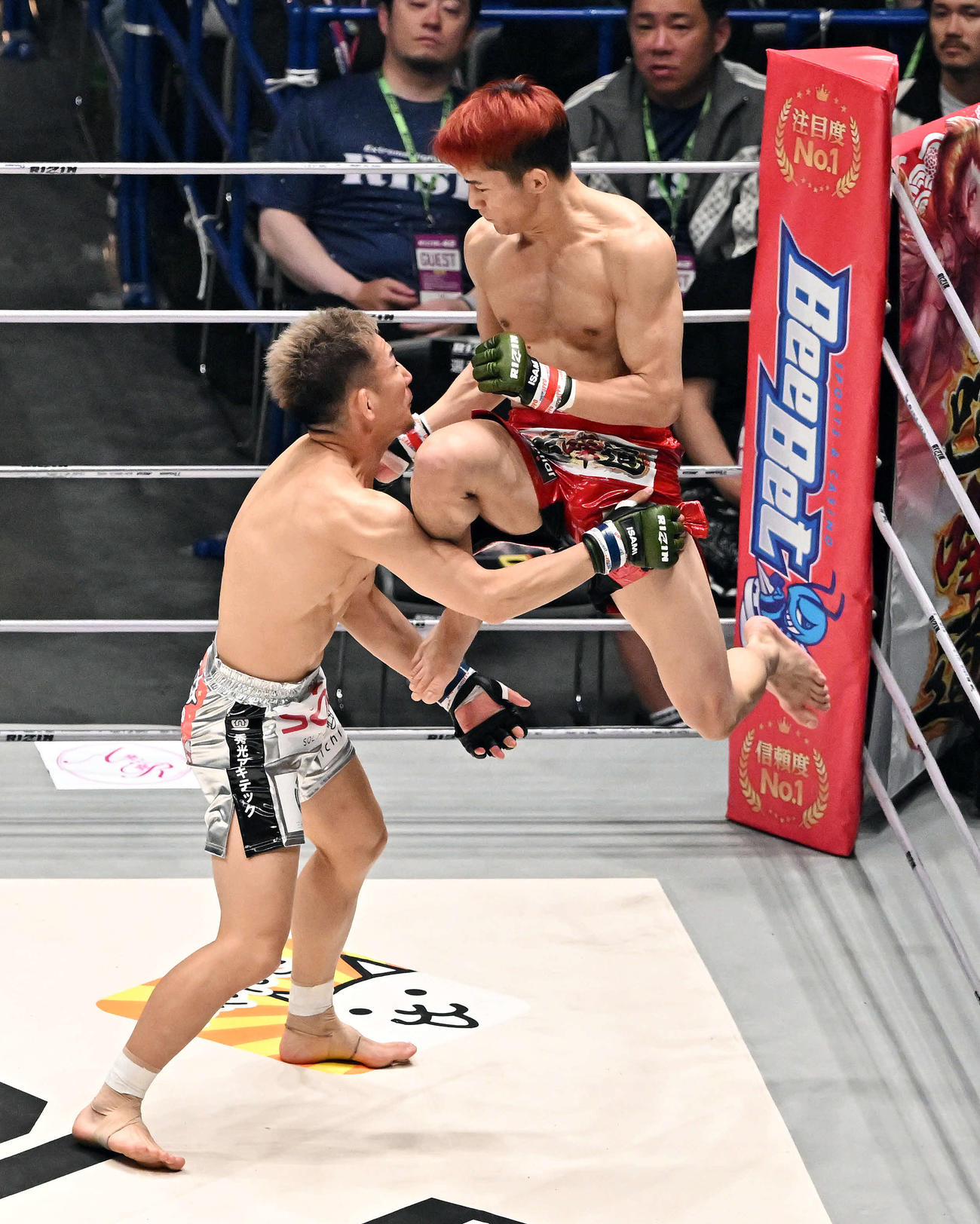 1回、朝倉海（右）は元谷友貴に飛び膝蹴りを見舞う（撮影・滝沢徹郎）