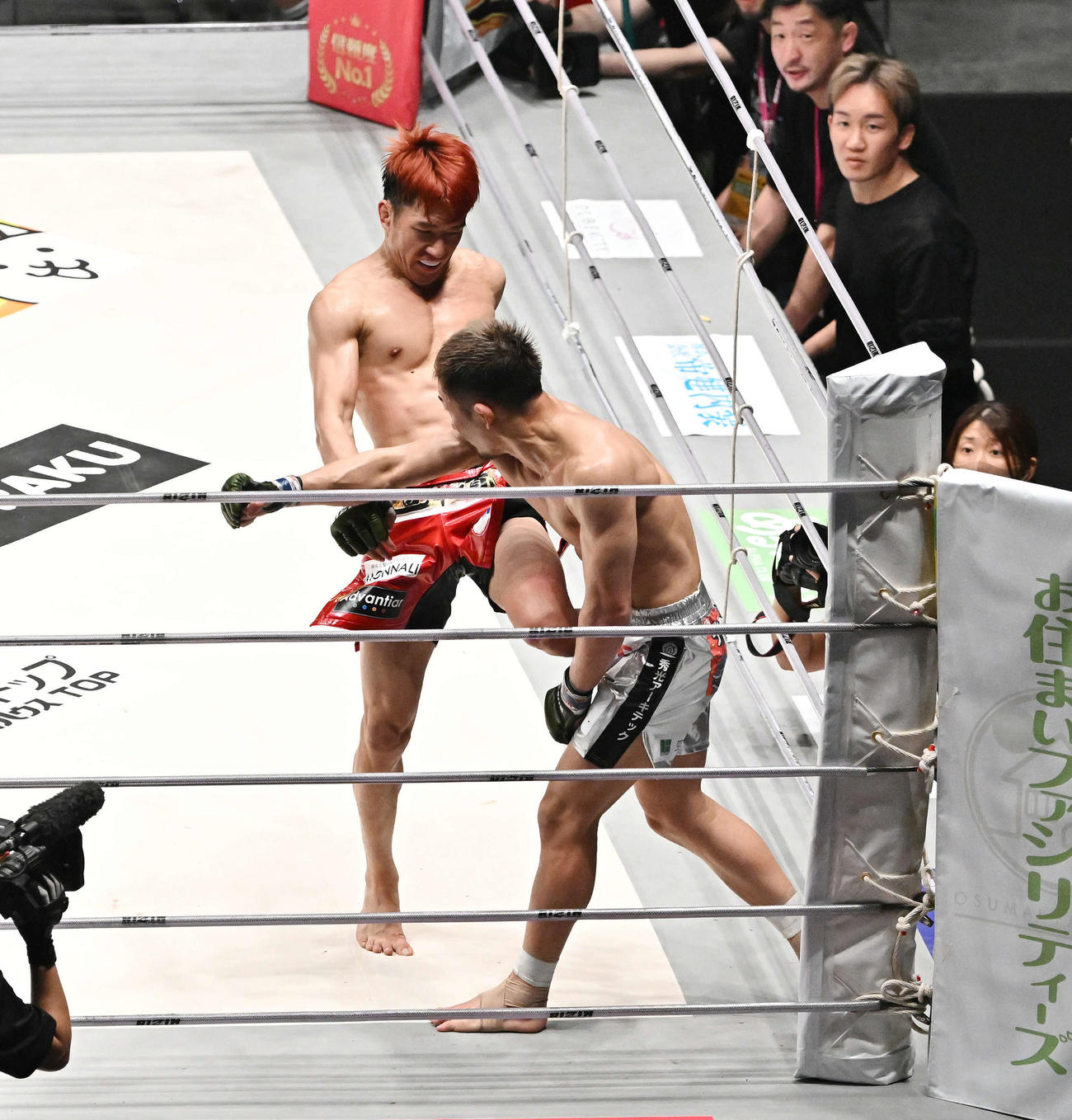 3回、朝倉海（後方）は元谷に膝蹴りを入れTKO勝ちする。右奥から2人目は朝倉未（撮影・滝沢徹郎）