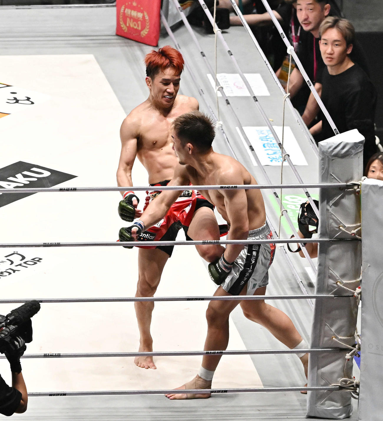3回、朝倉海（後方）は元谷に膝蹴りを入れTKO勝ちする。右奥から2人目は朝倉未（撮影・滝沢徹郎）