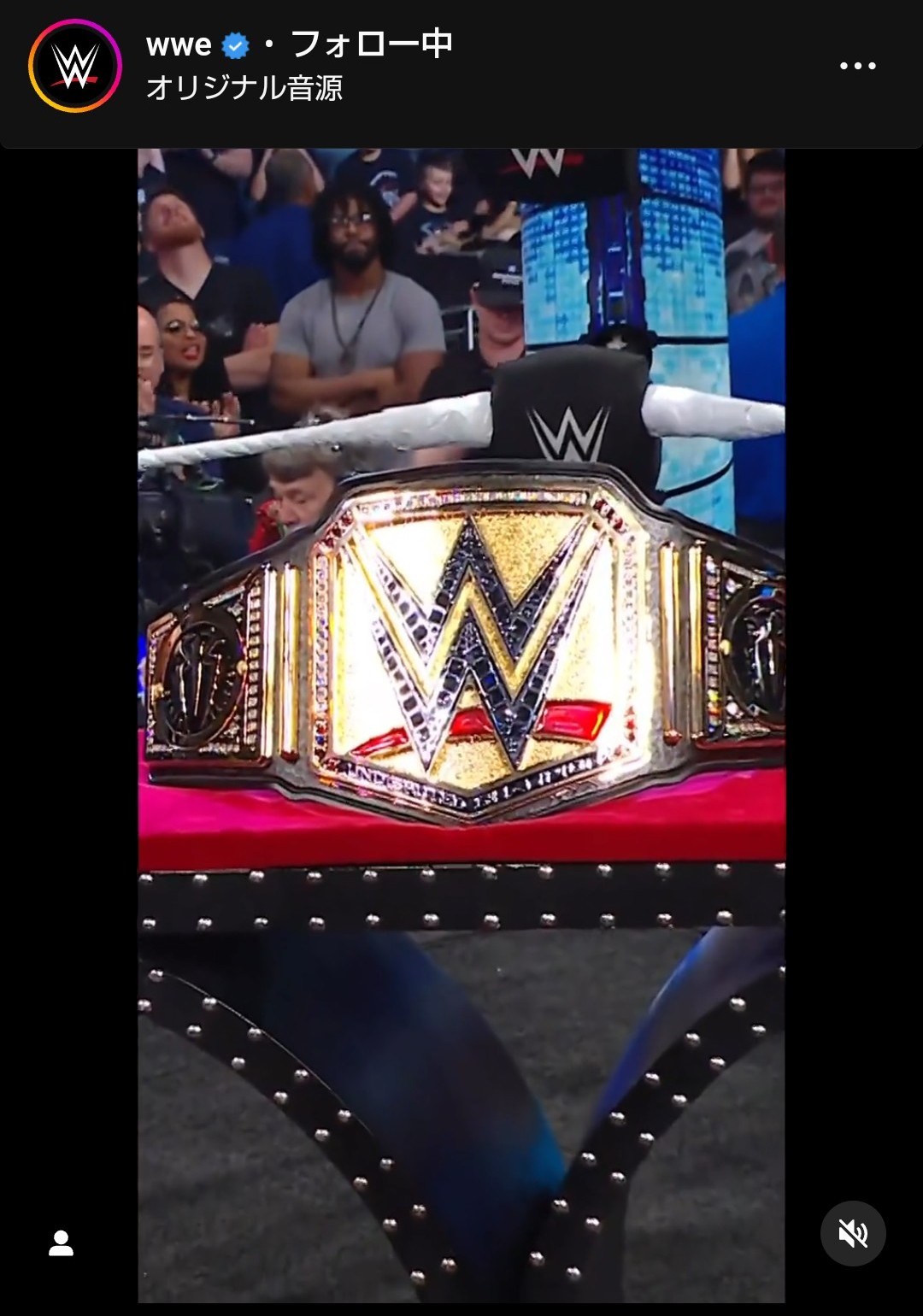 お披露目された新たなWWEヘビー級、ユニバーサル統一王座ベルト。デザインは2本のベルトと変更なしもセンターがゴールド（WWE公式インスタグラムから）