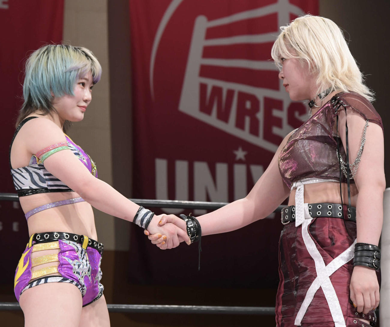 東京女子プロレス両国大会　握手をして健闘を誓う合う遠藤有栖（左）と愛野ユキ（東京女子プロレス提供）