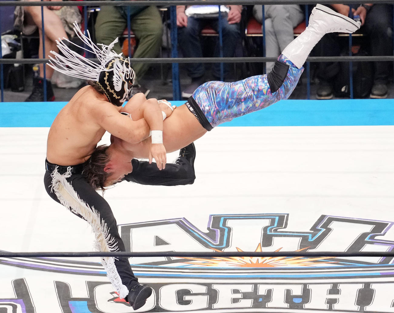 宮脇純太（右）にピンチェ・ロコで勝利するエル・デスペラード（撮影・横山健太）