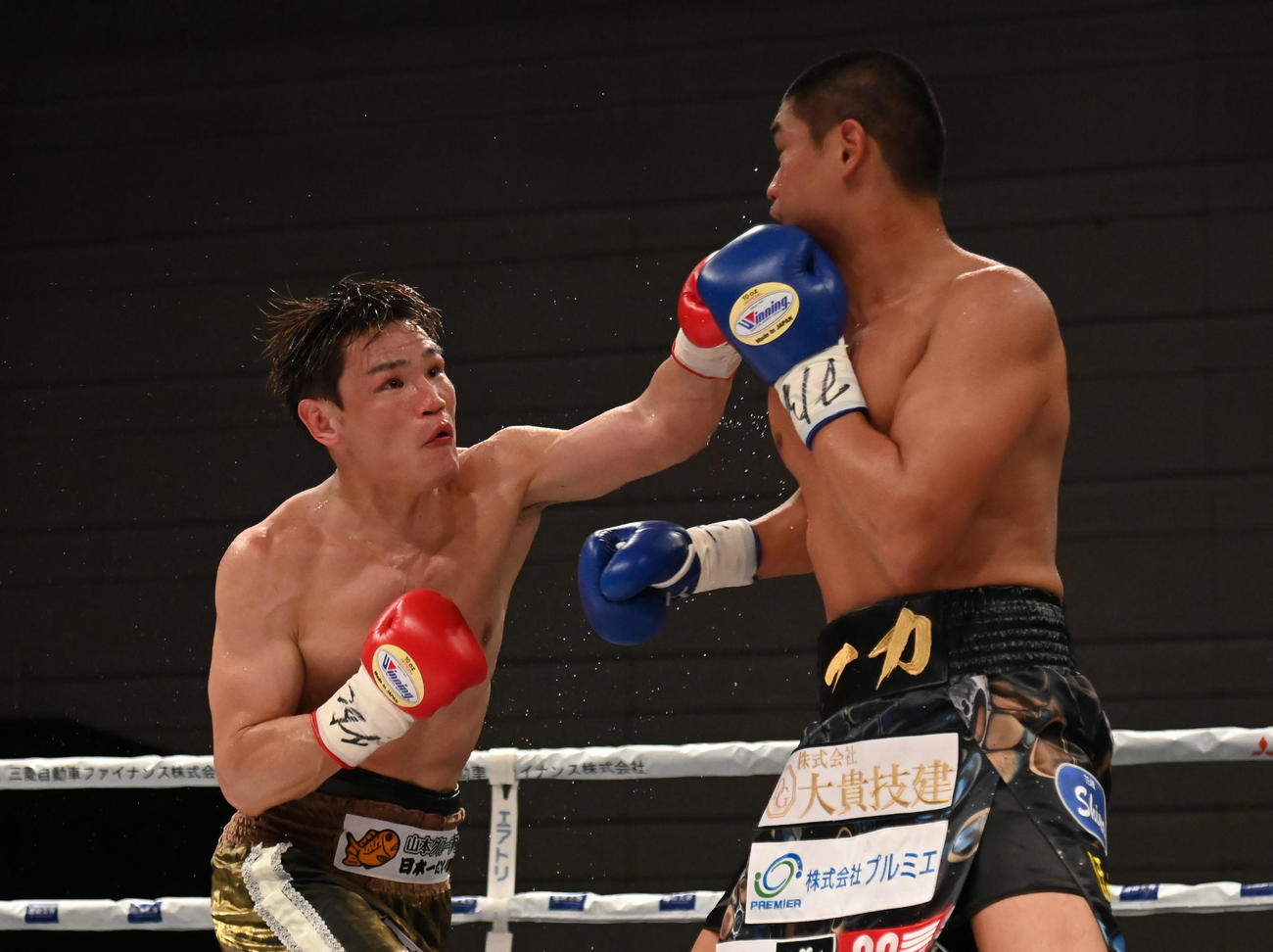 6回、帝尊康輝（左）にパンチを打つ野中悠樹（撮影・石井愛子）