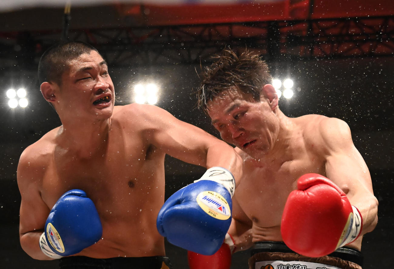 9回、帝尊康輝（左）に顔面にパンチをもらう野中悠樹（撮影・石井愛子）