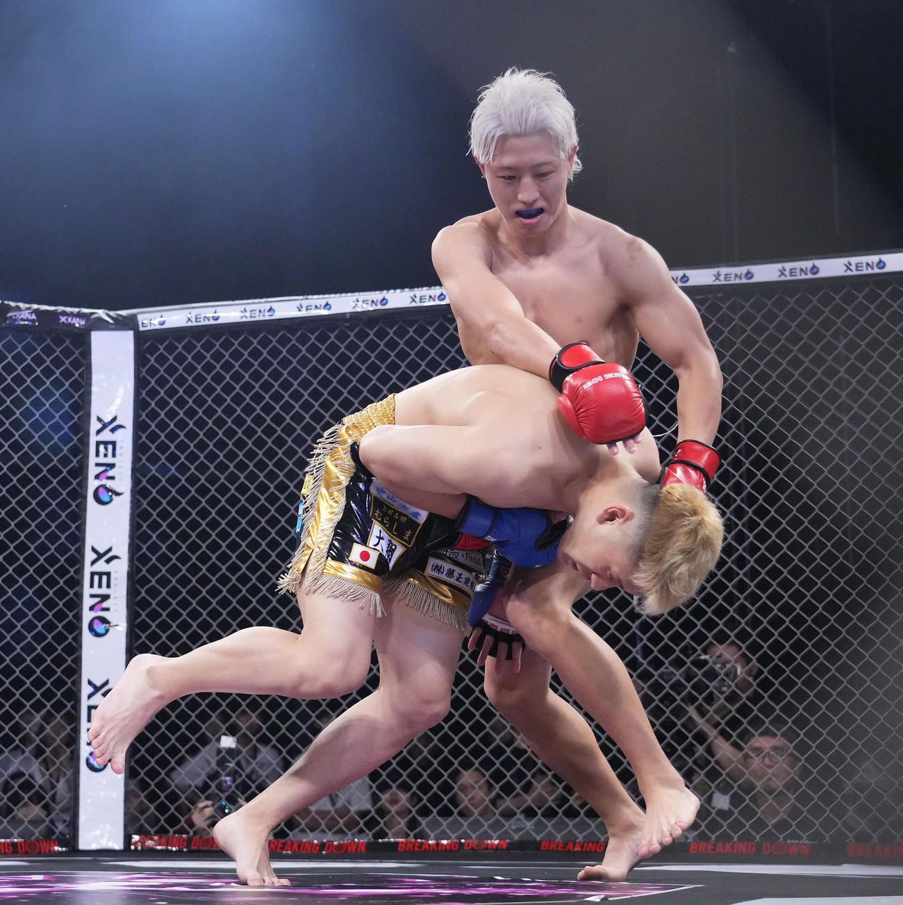 虎之介（右）にひざ蹴りを決め、KO勝ちをする冨沢大智（撮影・菅敏）