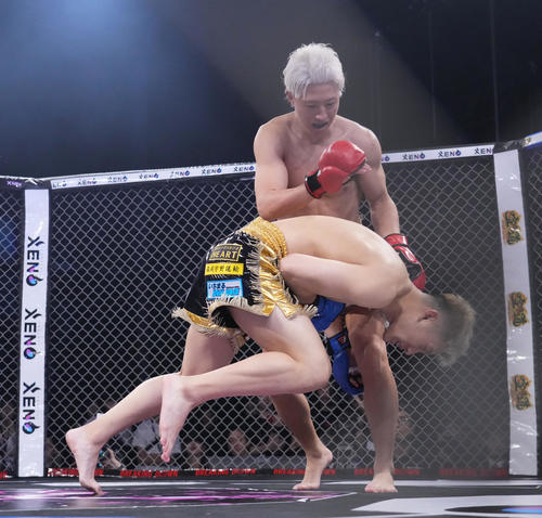 虎之介（右）にひざ蹴りを決め、KO勝ちをする冨沢大智（撮影・菅敏）