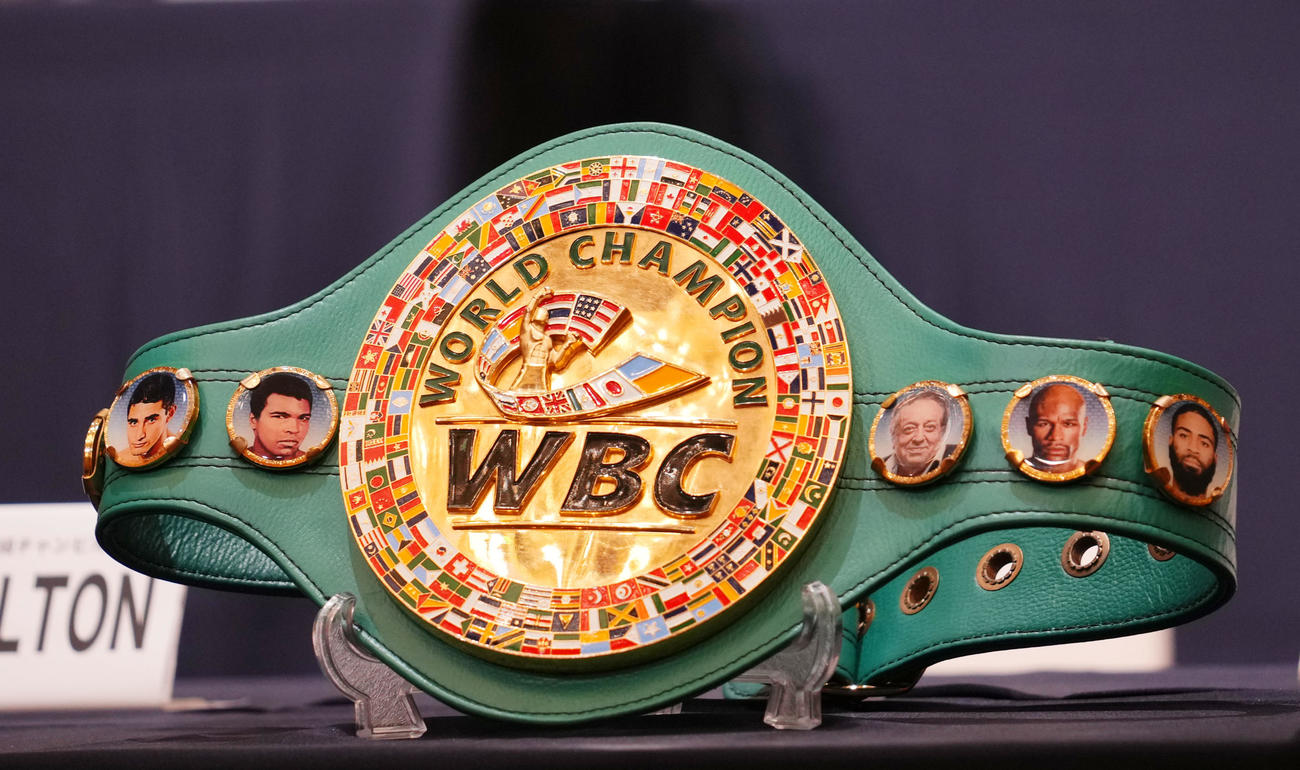 WBCのベルト（撮影・横山健太）