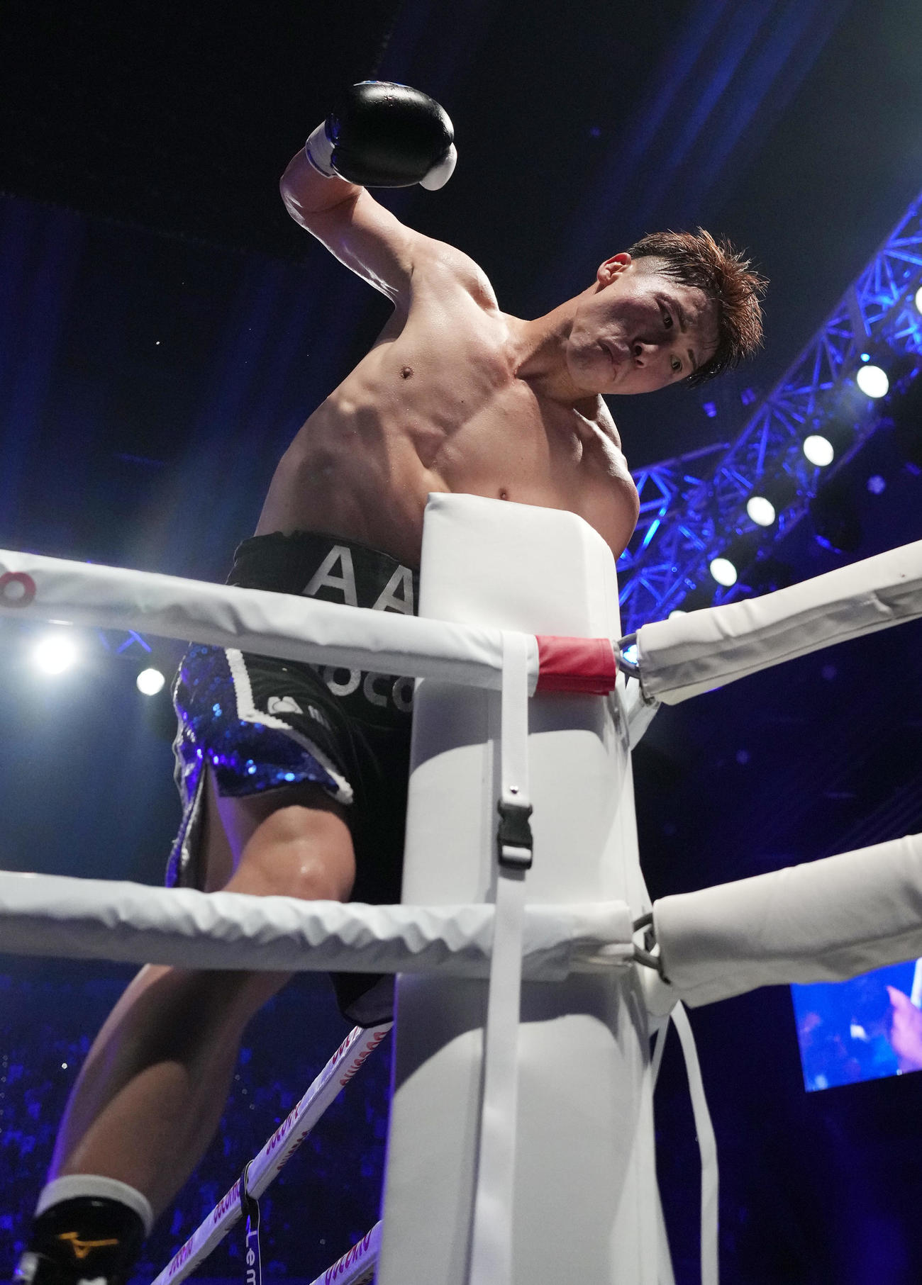 フルトン対井上　フルトンに8回TKO勝ちし、コーナーに登りガッツポーズする井上尚（撮影・鈴木みどり）
