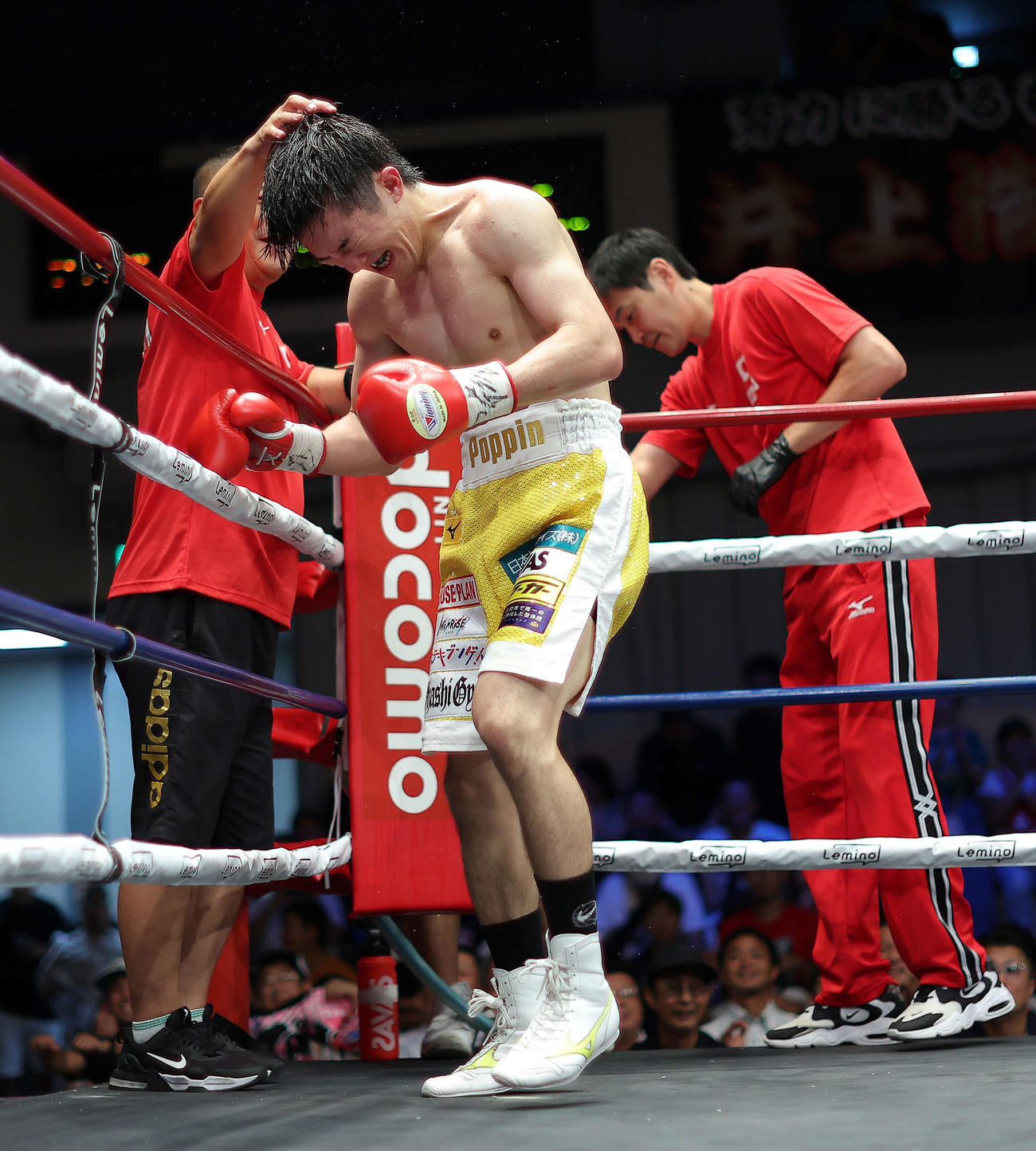 アブドゥラスル・イスモリロフに勝利する井上浩（撮影・河田真司）