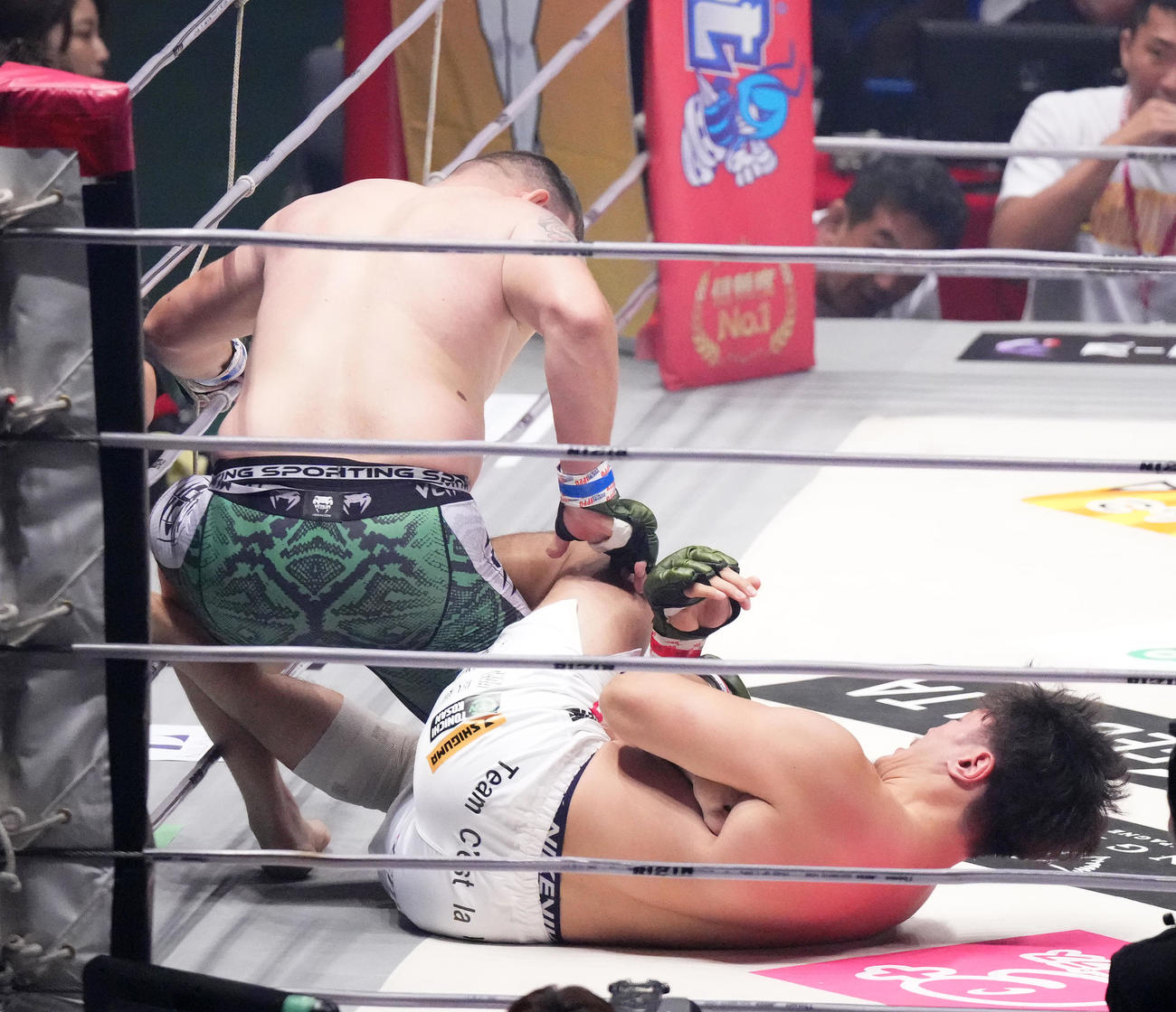 1回、チューカス（左）に勝利するシビサイ（撮影・菅敏）