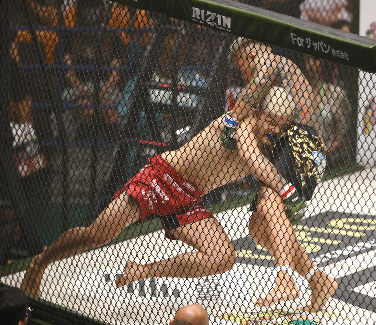 第7試合　イゴール・タナベ対ANIMAL☆KOJI 1回、ANIMAL☆KOJI（左）を攻めるタナベ（撮影・上山淳一）