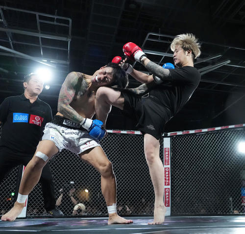 久保田覚の頭部にひざ蹴りをヒットさせるやまかわしょうた（撮影・菅敏）