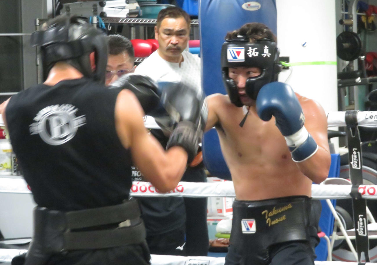 スパーリングを行う井上拓真（右）（2023年10月23日撮影）
