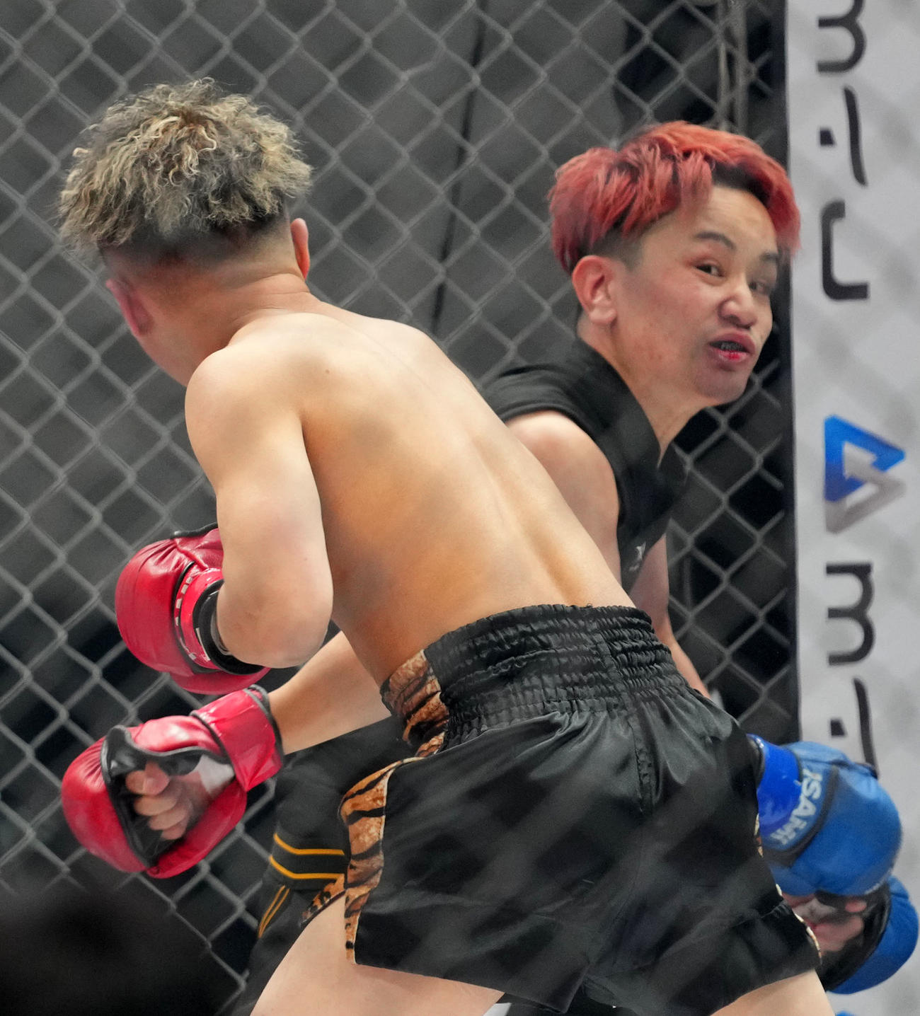 せーや対レオ　殴り合うレオ（左）とせーや（撮影・横山健太）
