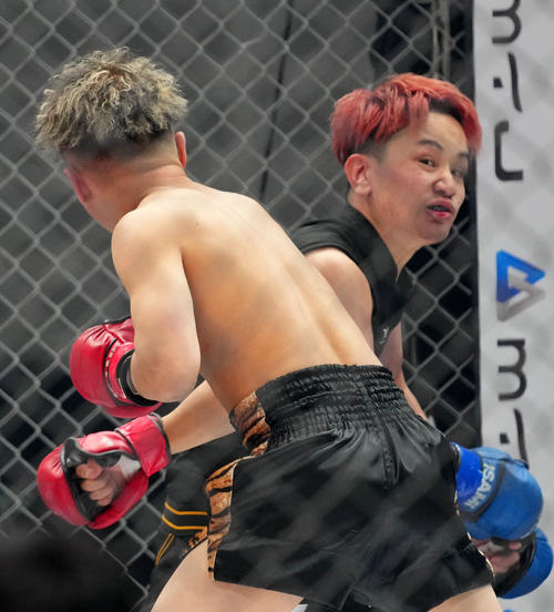 せーや対レオ 殴り合うレオ(左)とせーや(撮影・横山健太)